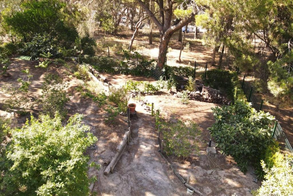 Casa da Lagoa - House by the Lagoon with Direct Access to the Beach