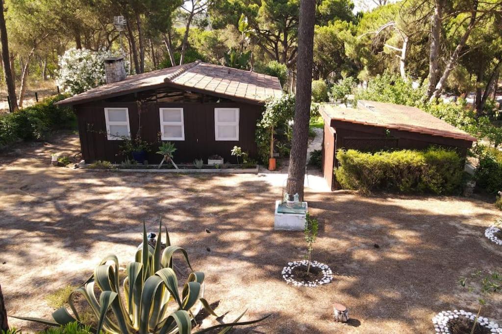 Casa da Lagoa - House by the Lagoon with Direct Access to the Beach