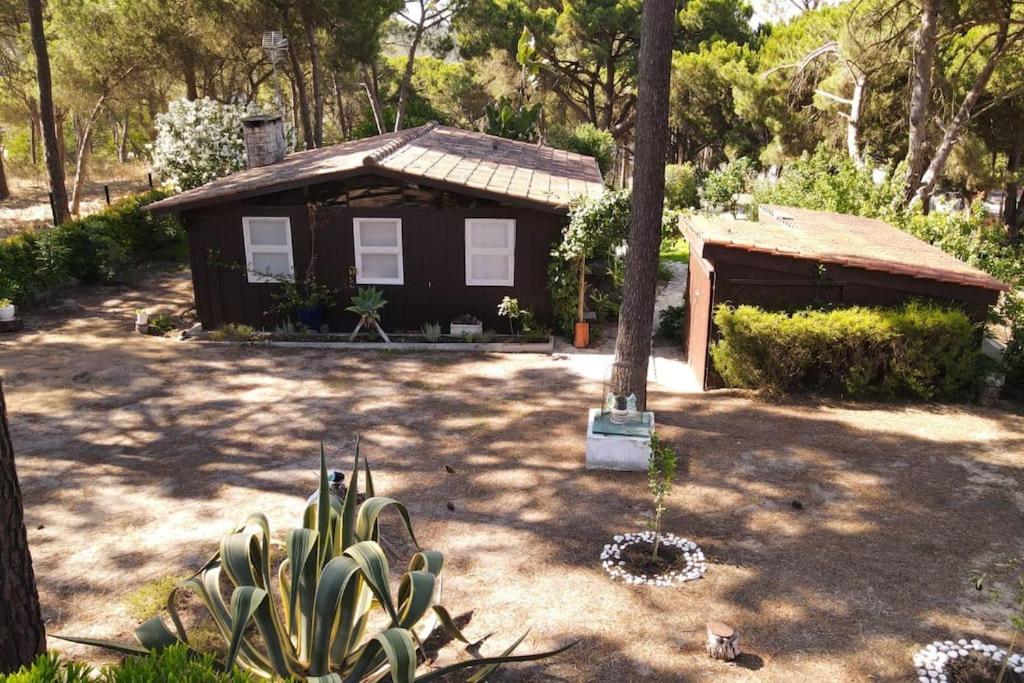 Casa da Lagoa - House by the Lagoon with Direct Access to the Beach