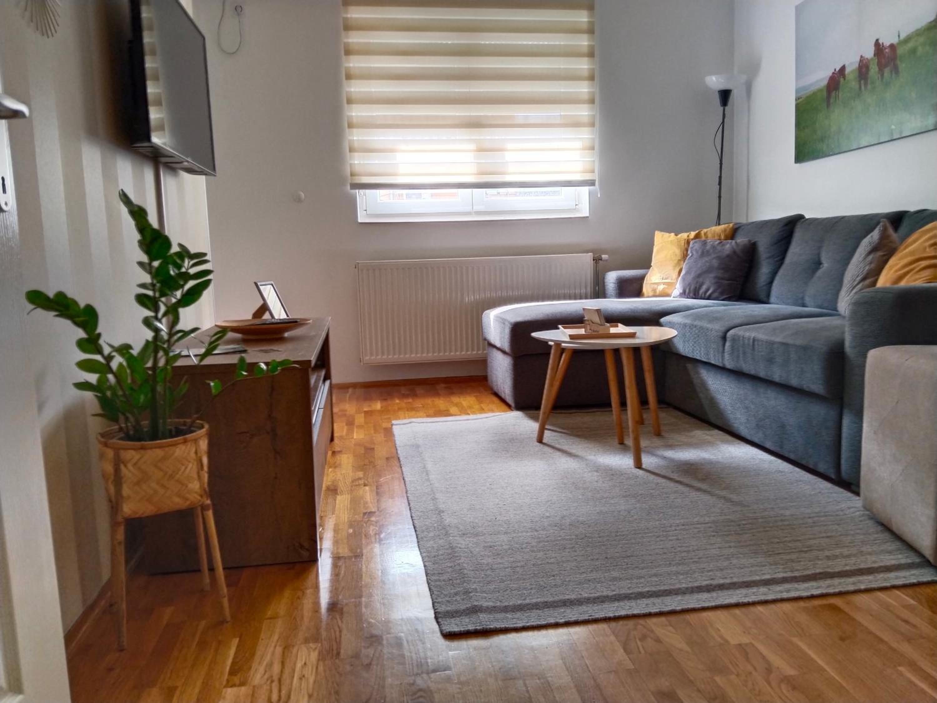 Apartman Pored reke view 2