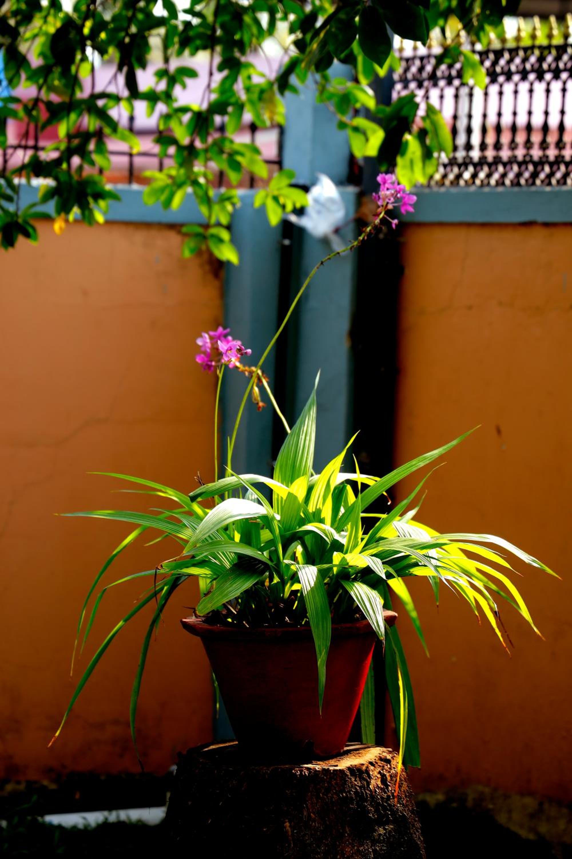 Photo 43