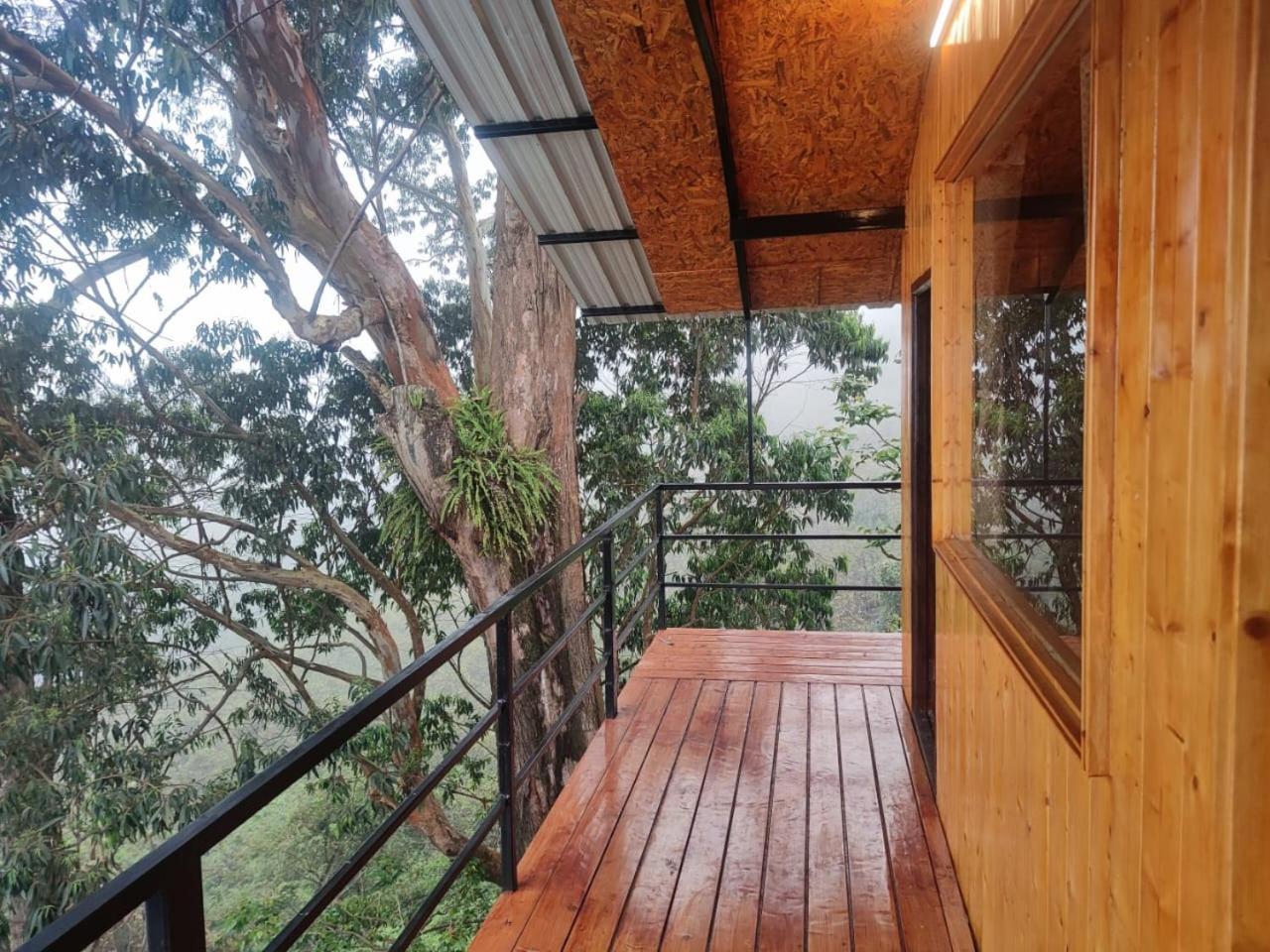 Kelvin Eva wood house view 4