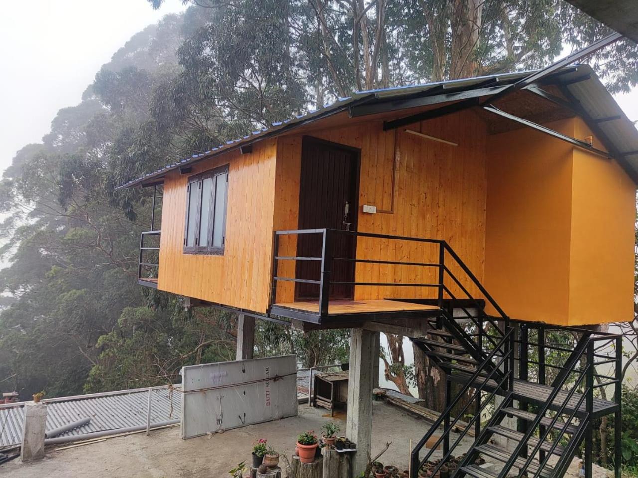 Kelvin Eva wood house view 3