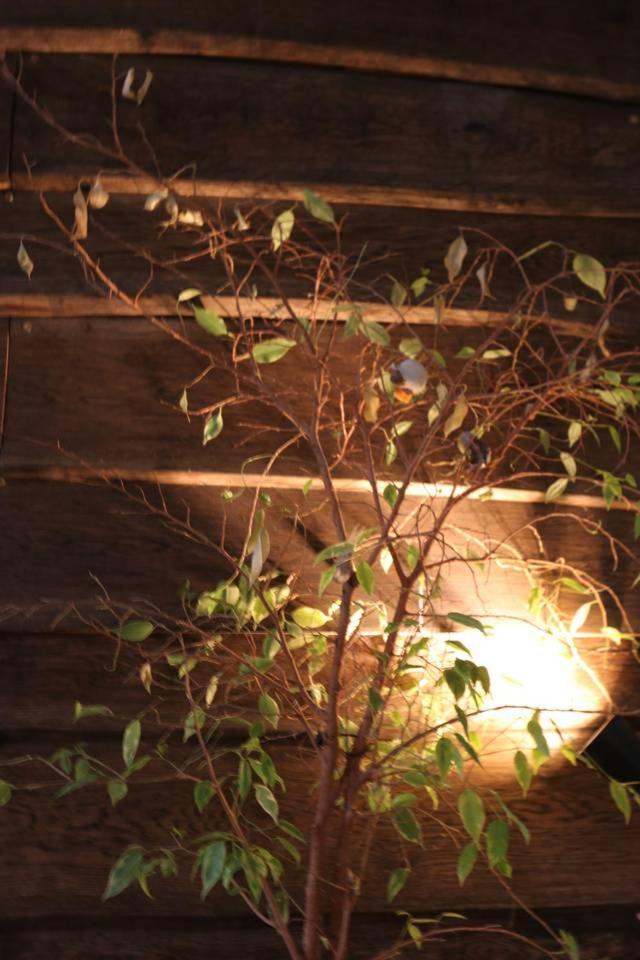 Einzigartiges 140qm LOFT – Party ist erlaubt!