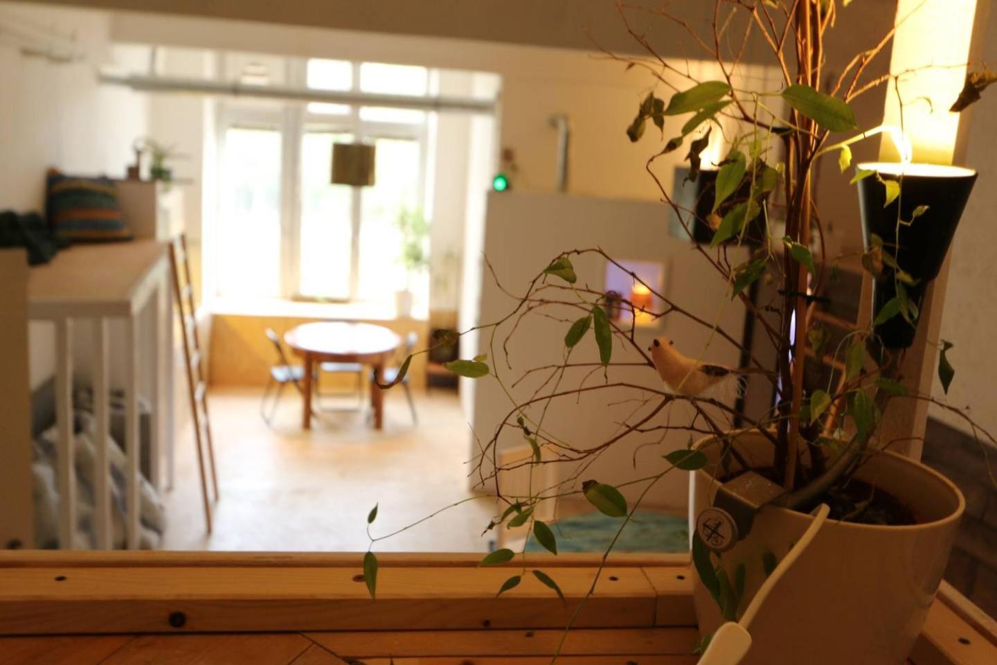 Einzigartiges 140qm LOFT – Party ist erlaubt!