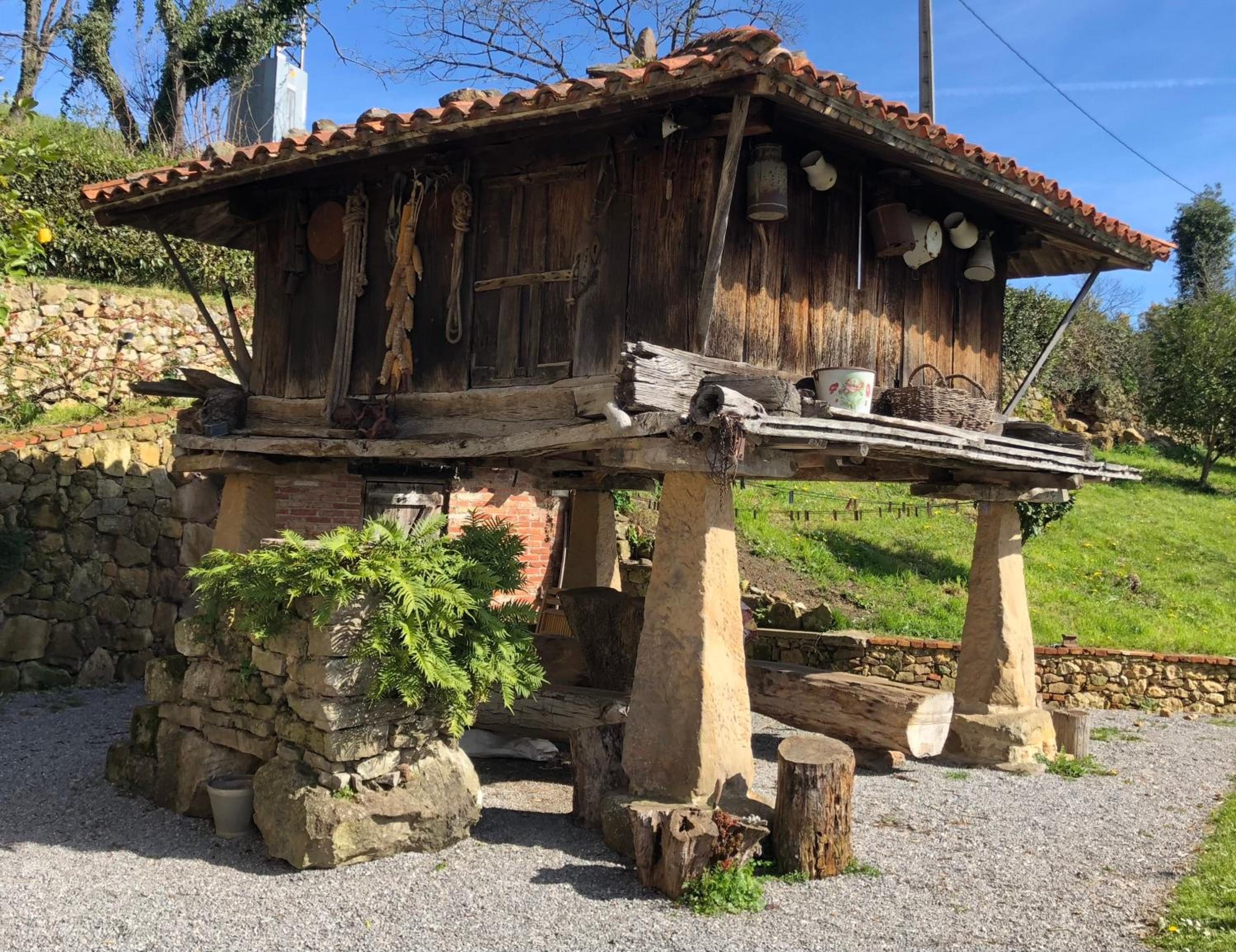 Photo 31