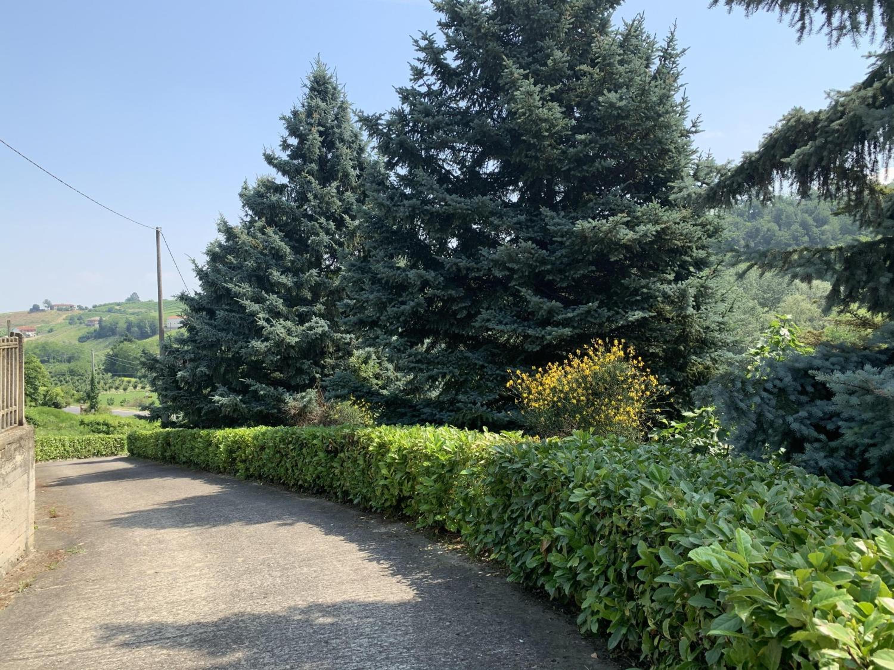 Bricco Nebbiolo