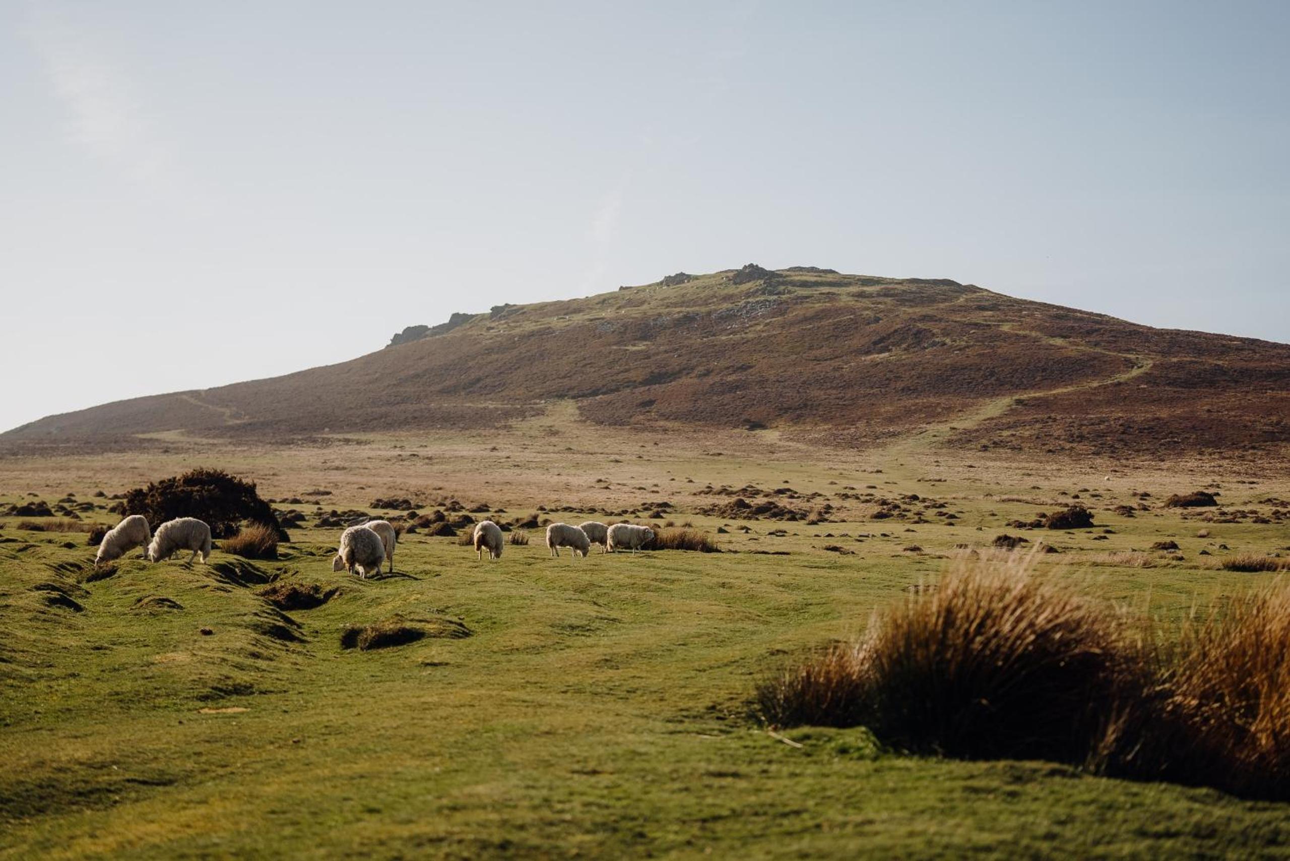 Photo 24