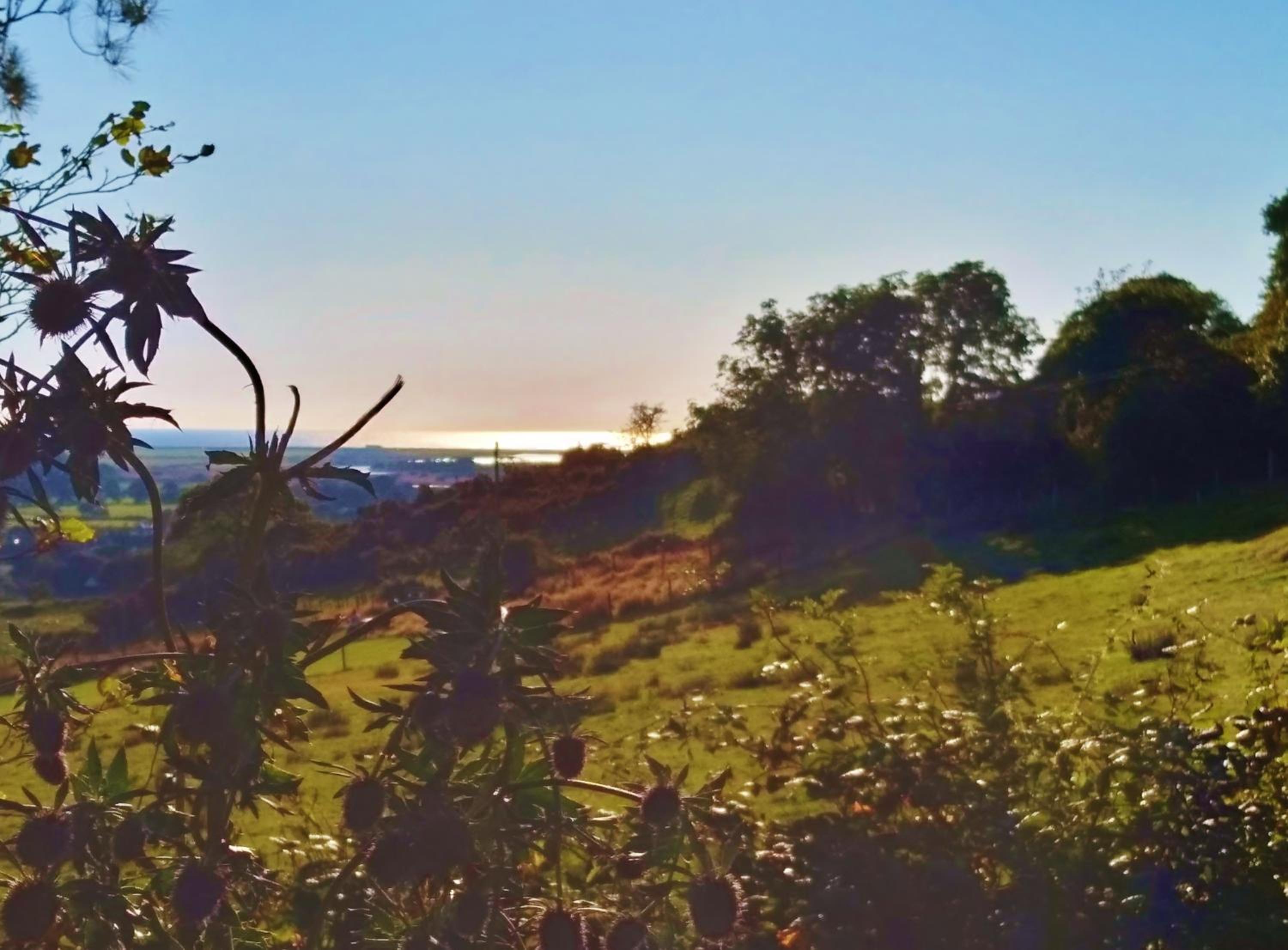 Sea Moss Cabin view 5