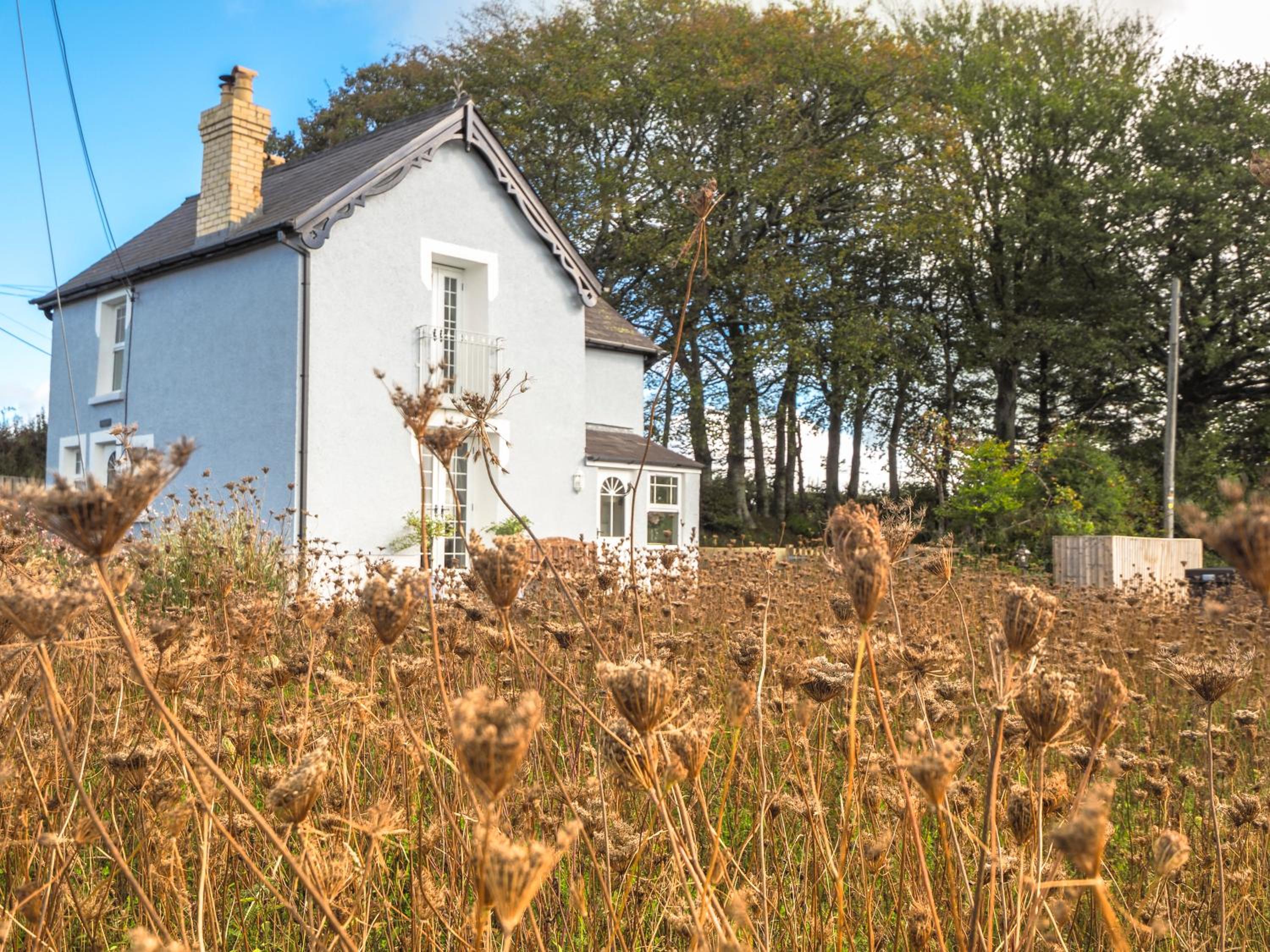 Dryslwyn Rhydlewis