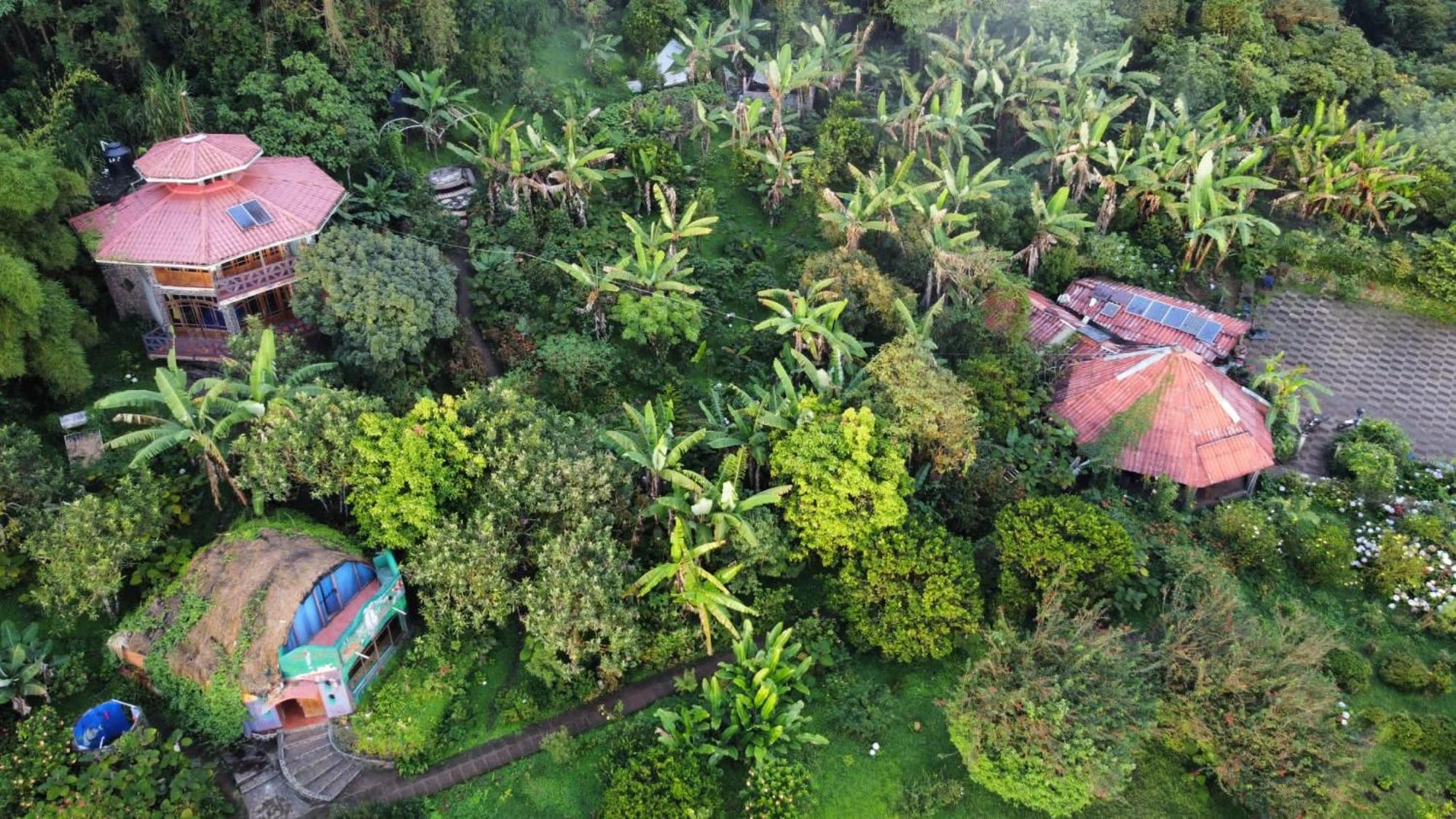 Finca Neblina del Bosque