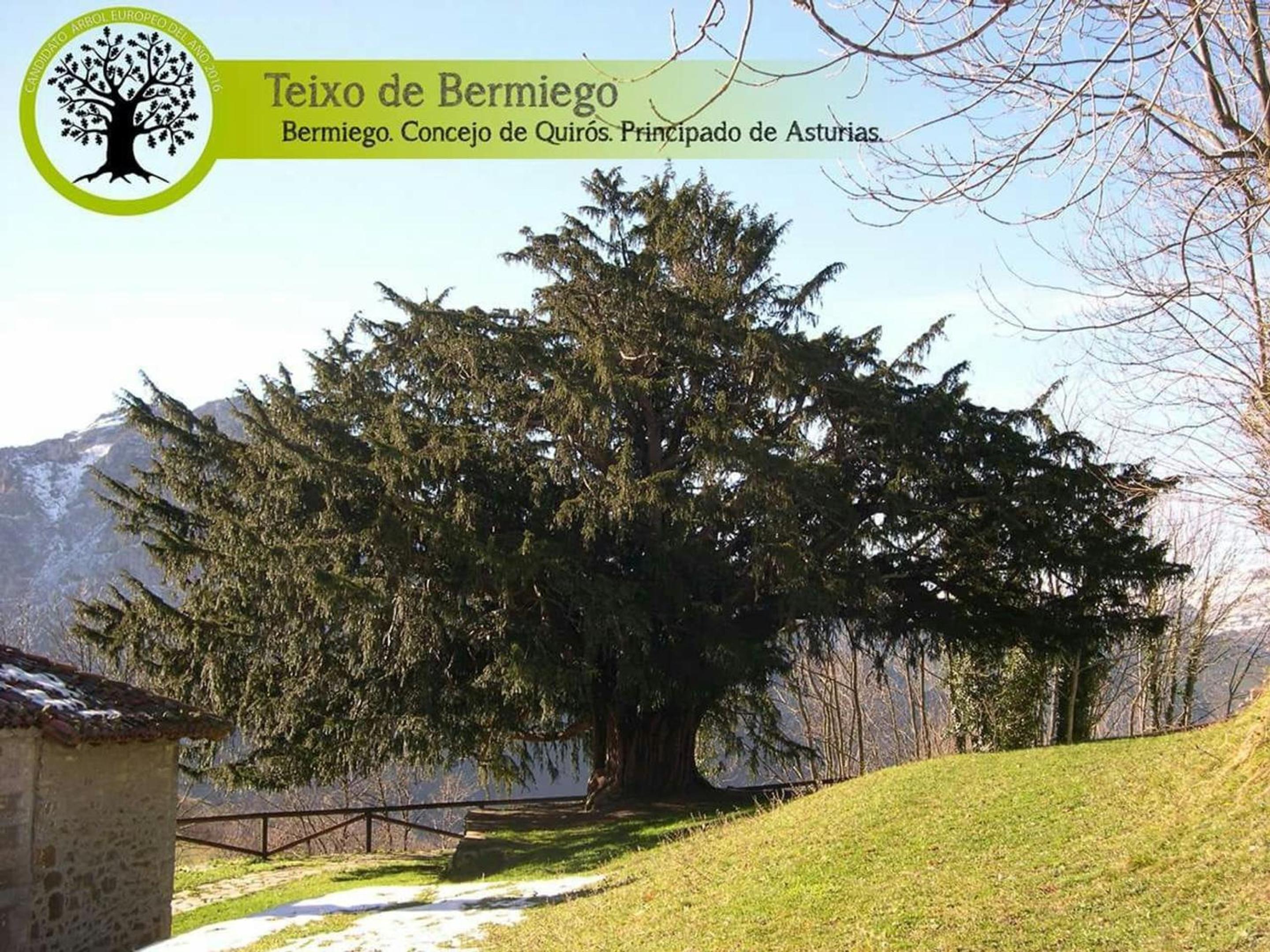 Welcoming House in Bermiego with All Comforts