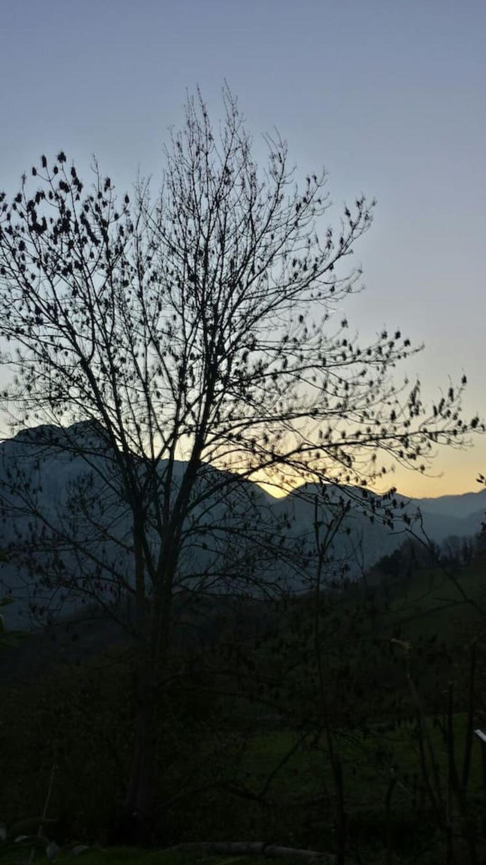 Welcoming House in Bermiego with All Comforts