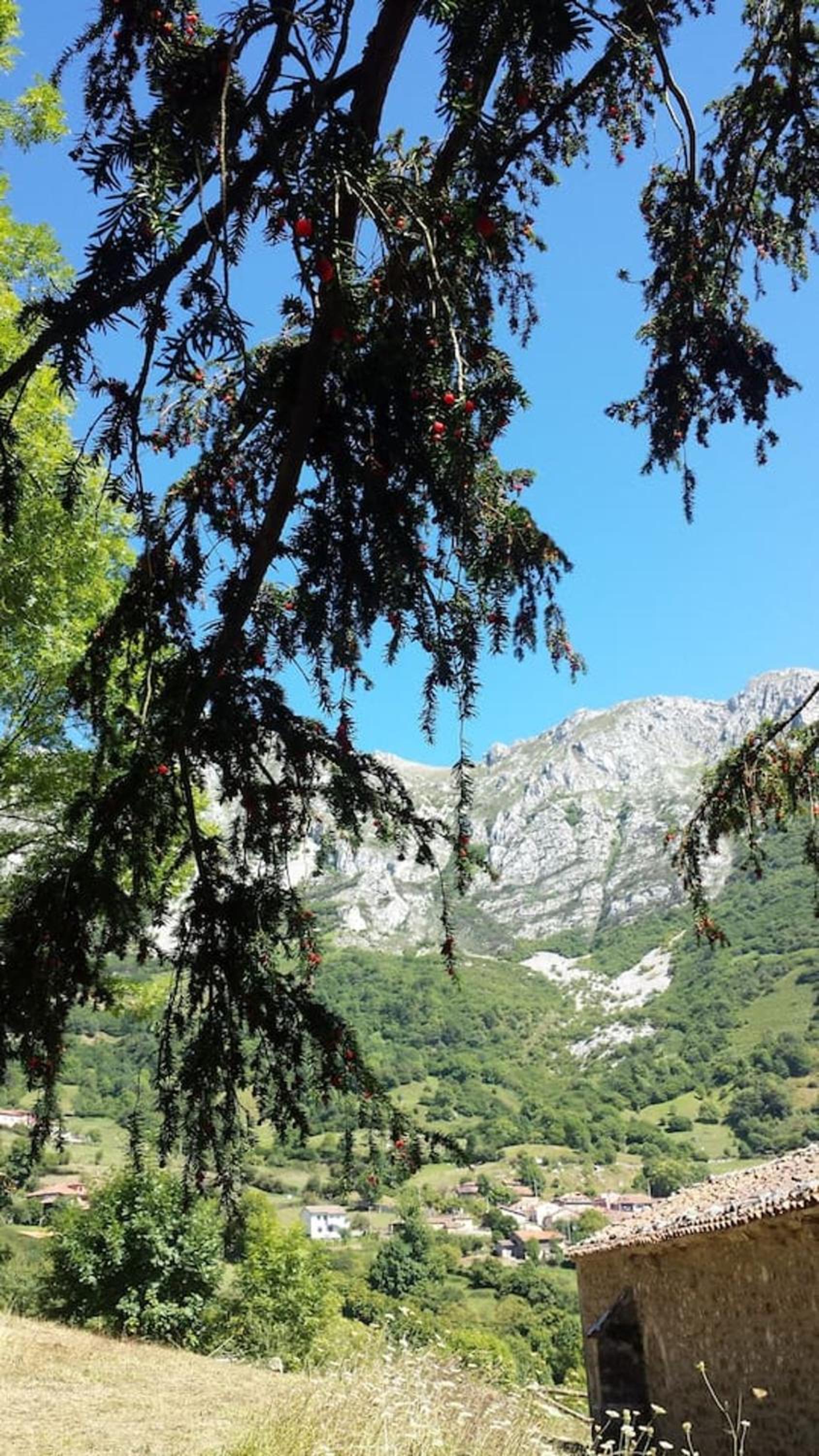Welcoming House in Bermiego with All Comforts