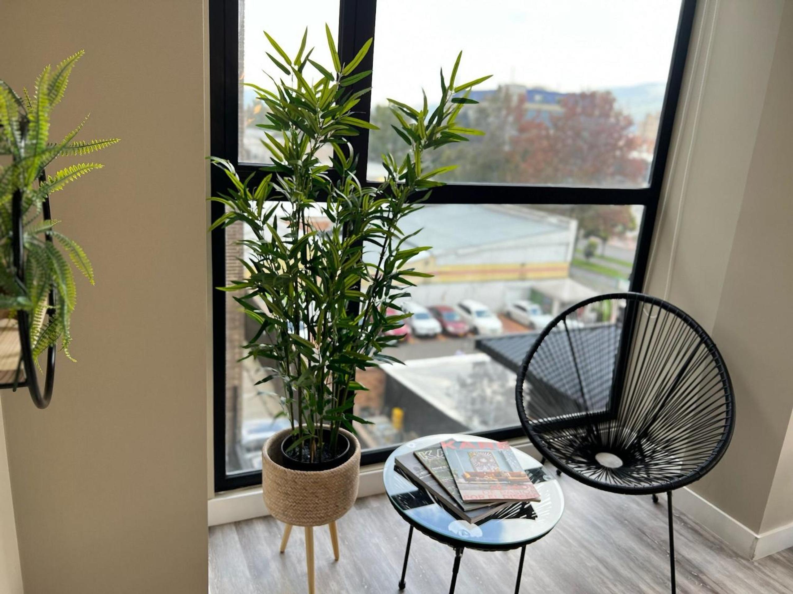 Palmetto Niido