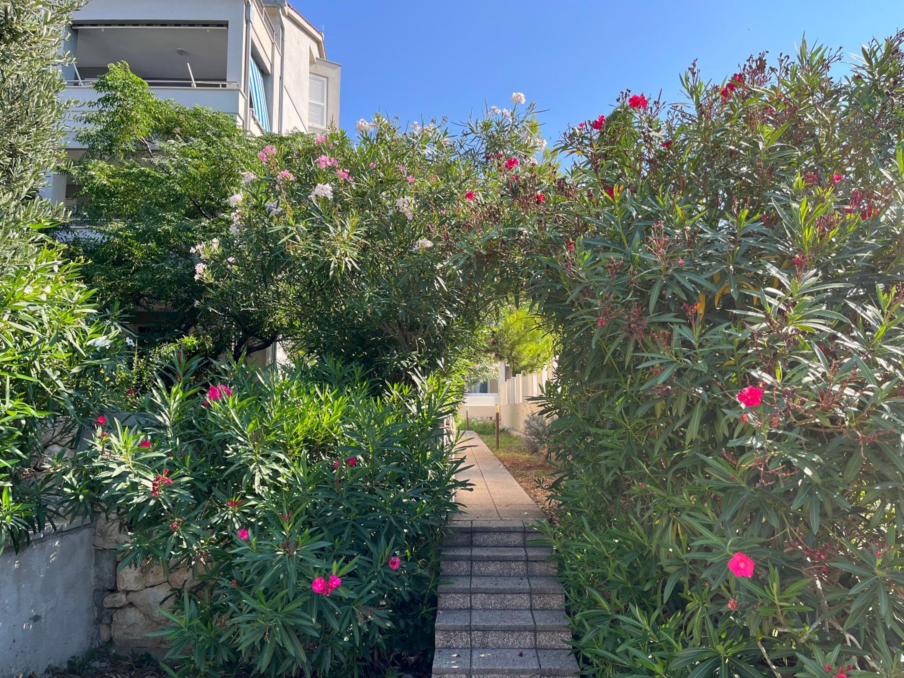 Corallis Beachfront Family Oasis view 4