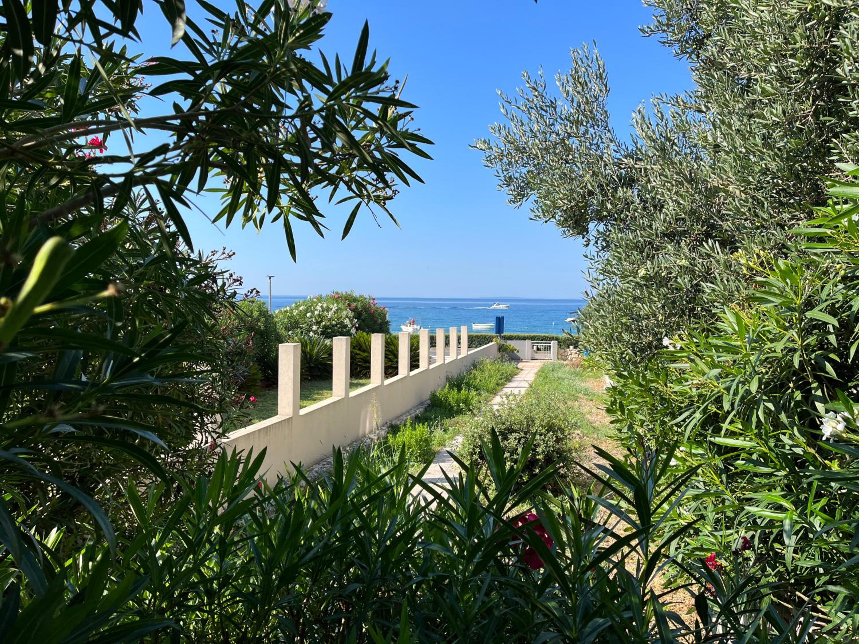 Corallis Beachfront Family Oasis view 3