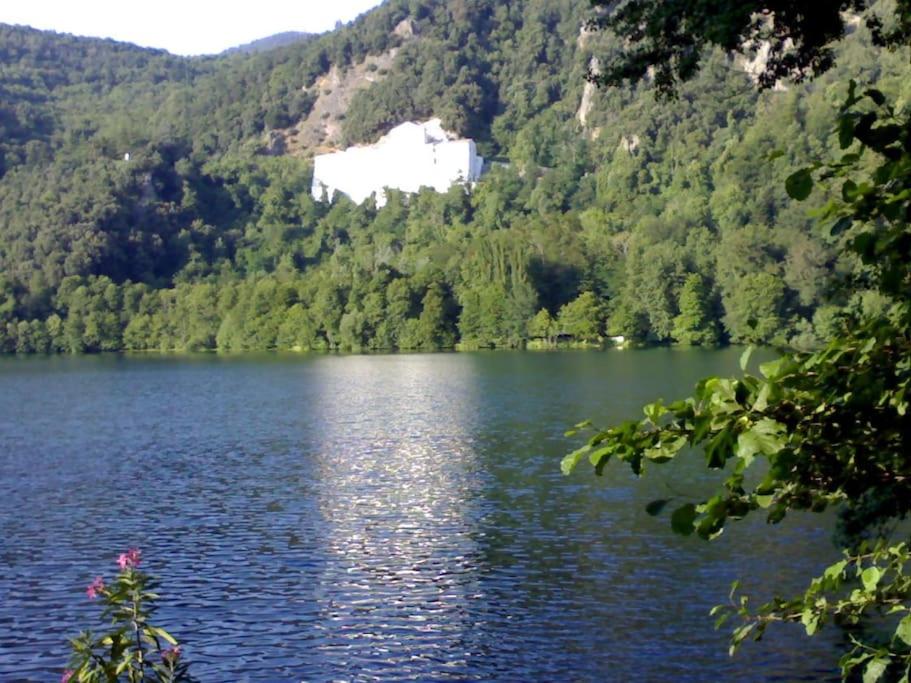 Photo 41