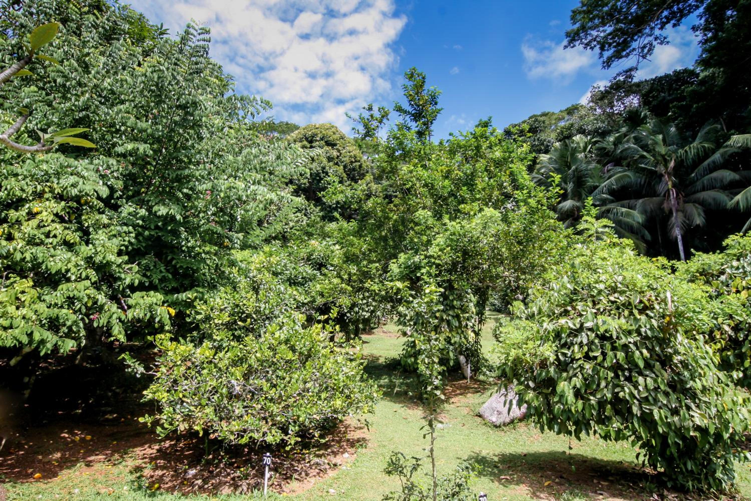 Le Domaine de Bacova