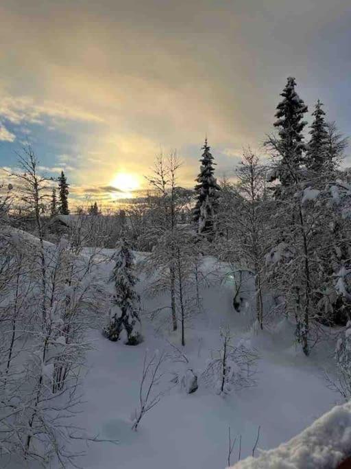 Familiehytte på Beito