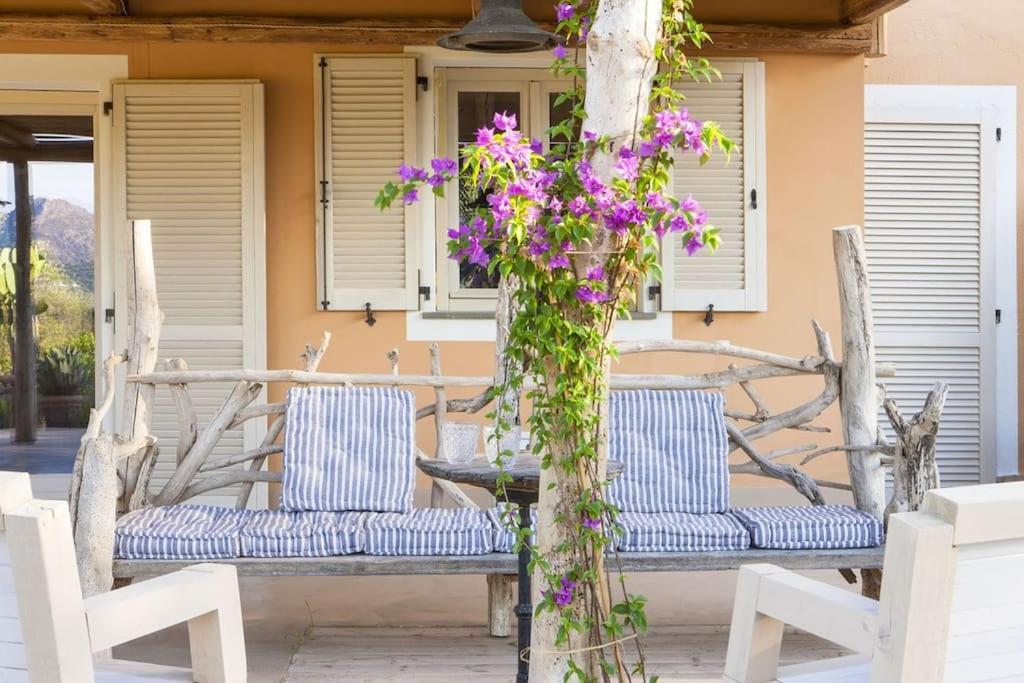 Appartamento Oliveto - Casa Mazzacorta