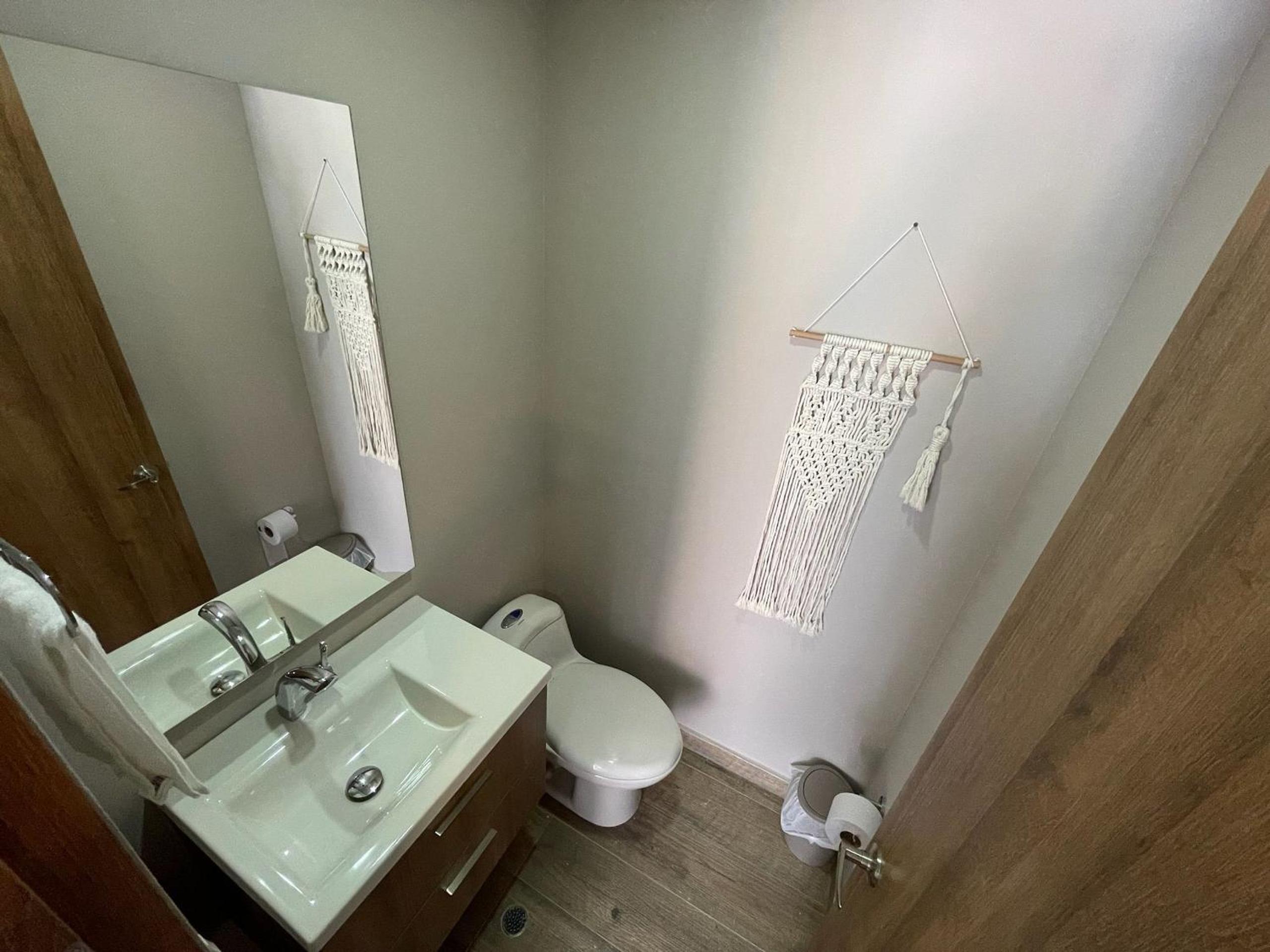 Palmetto Park123