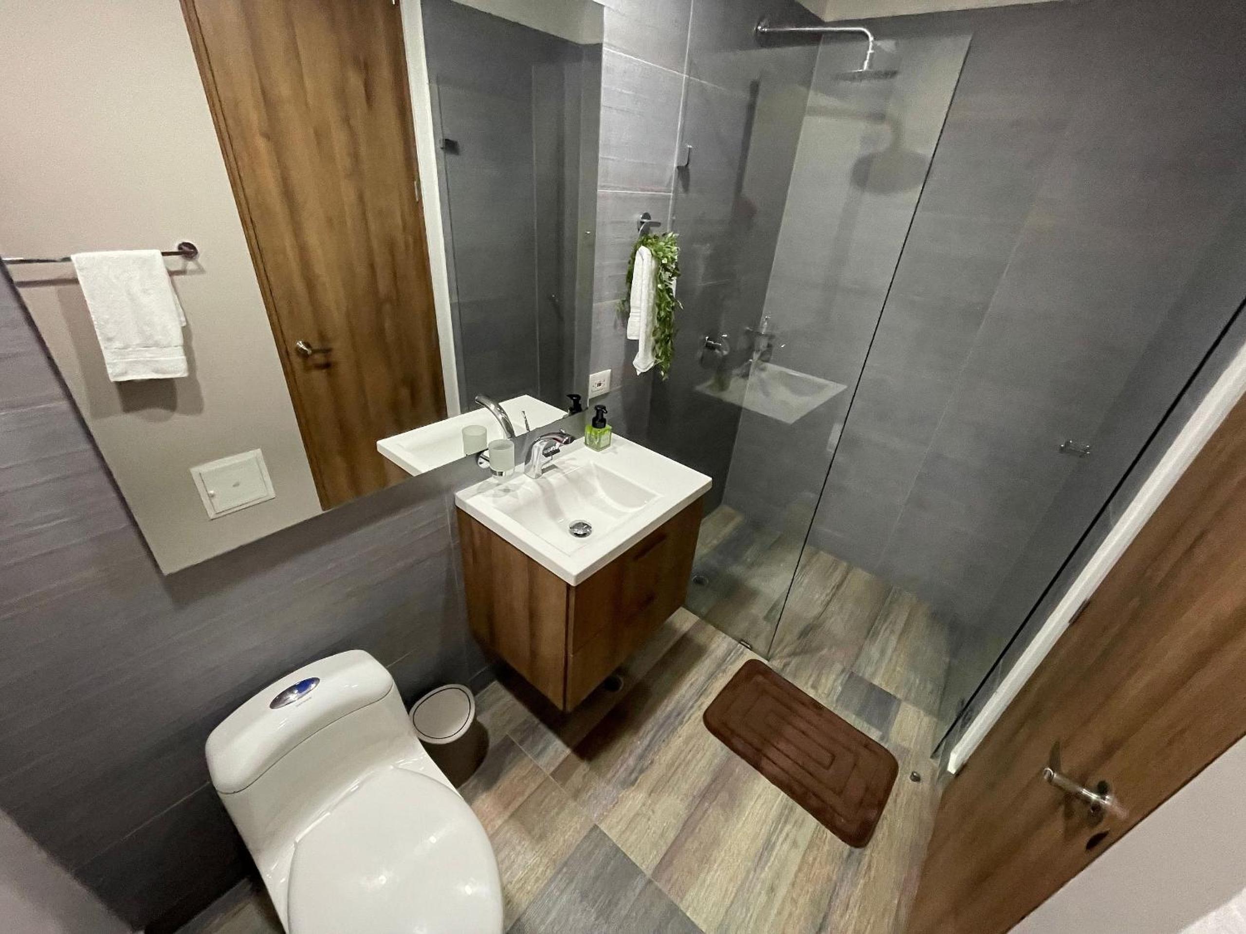 Palmetto Park123