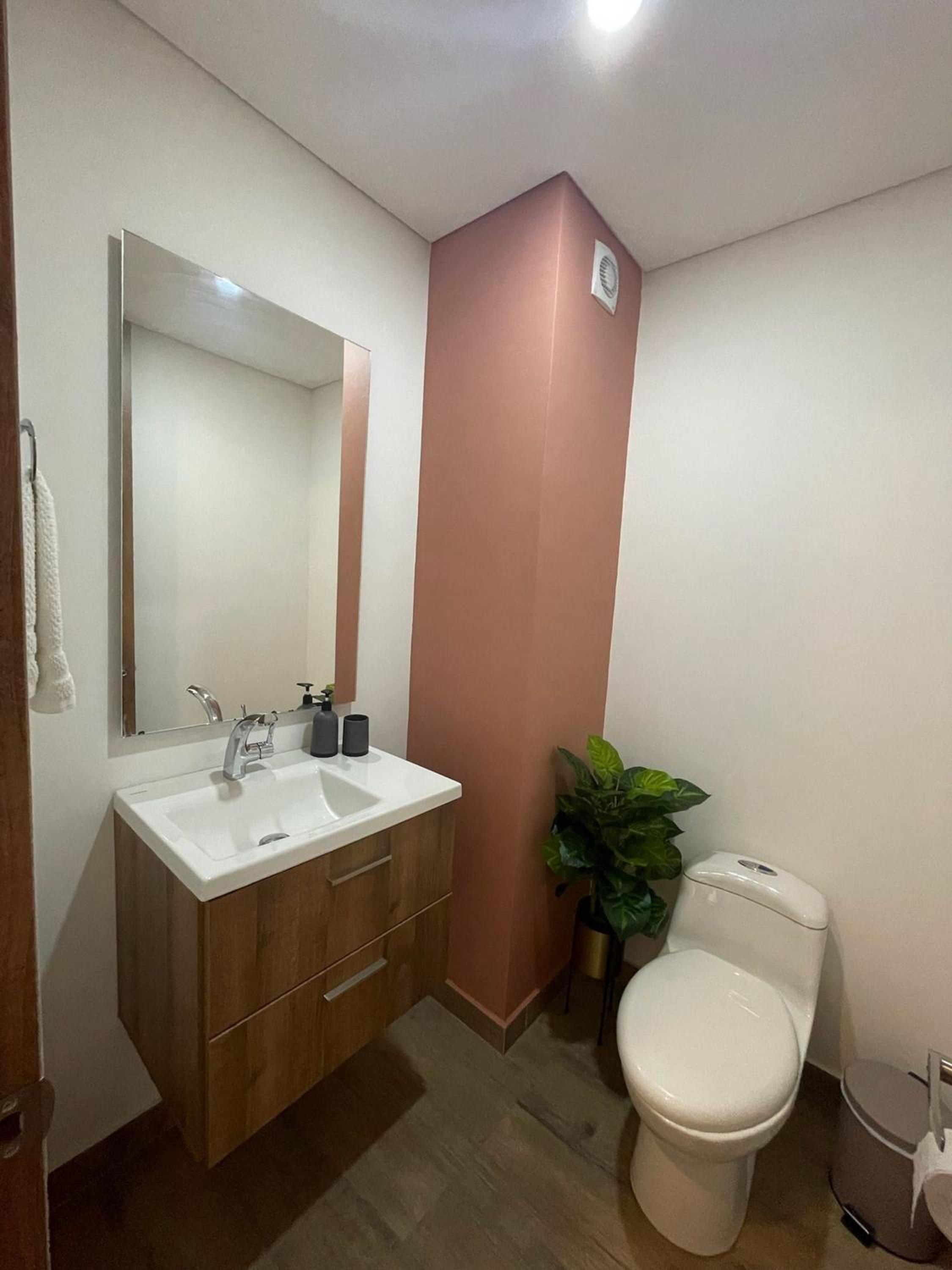 Palmetto Park123