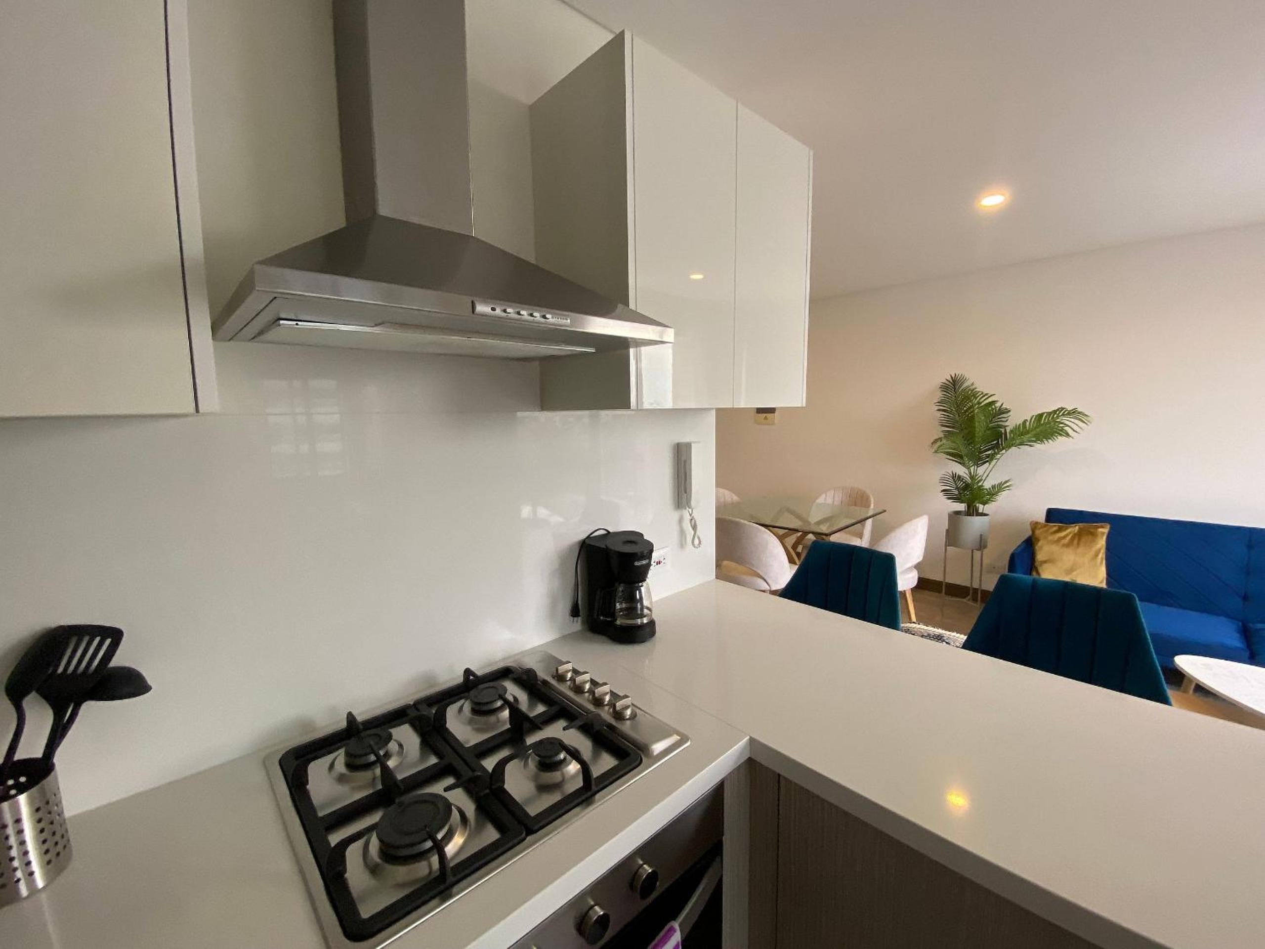 Palmetto Park123