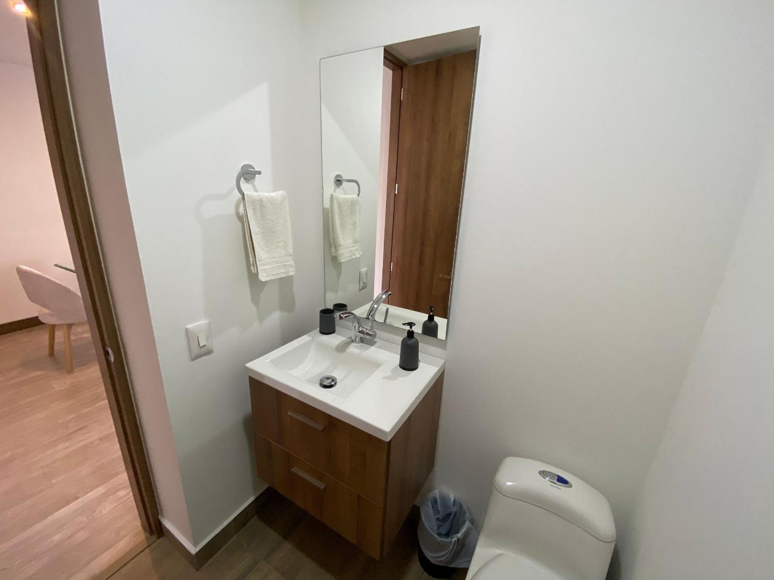 Palmetto Park123