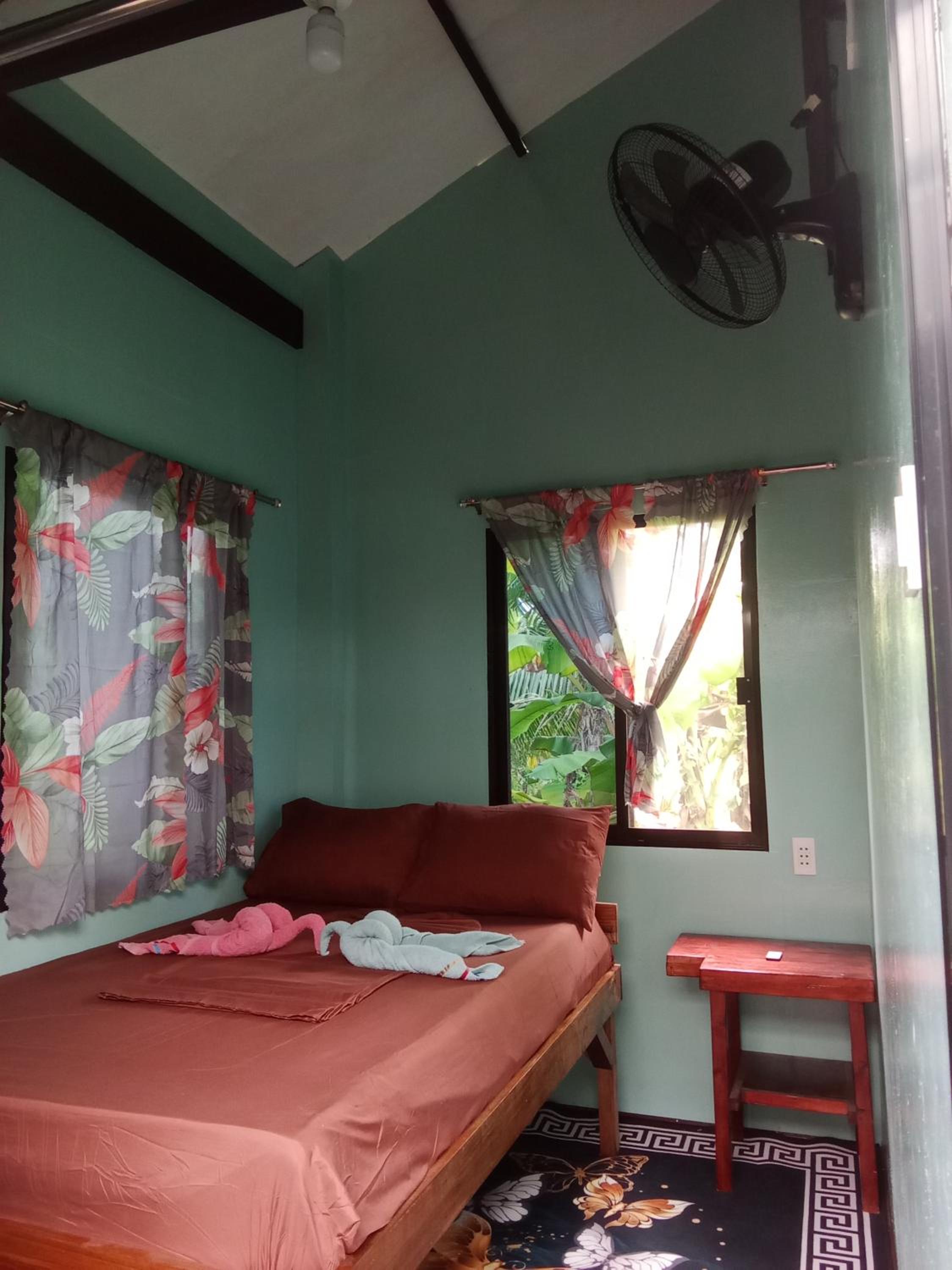 Photo 11