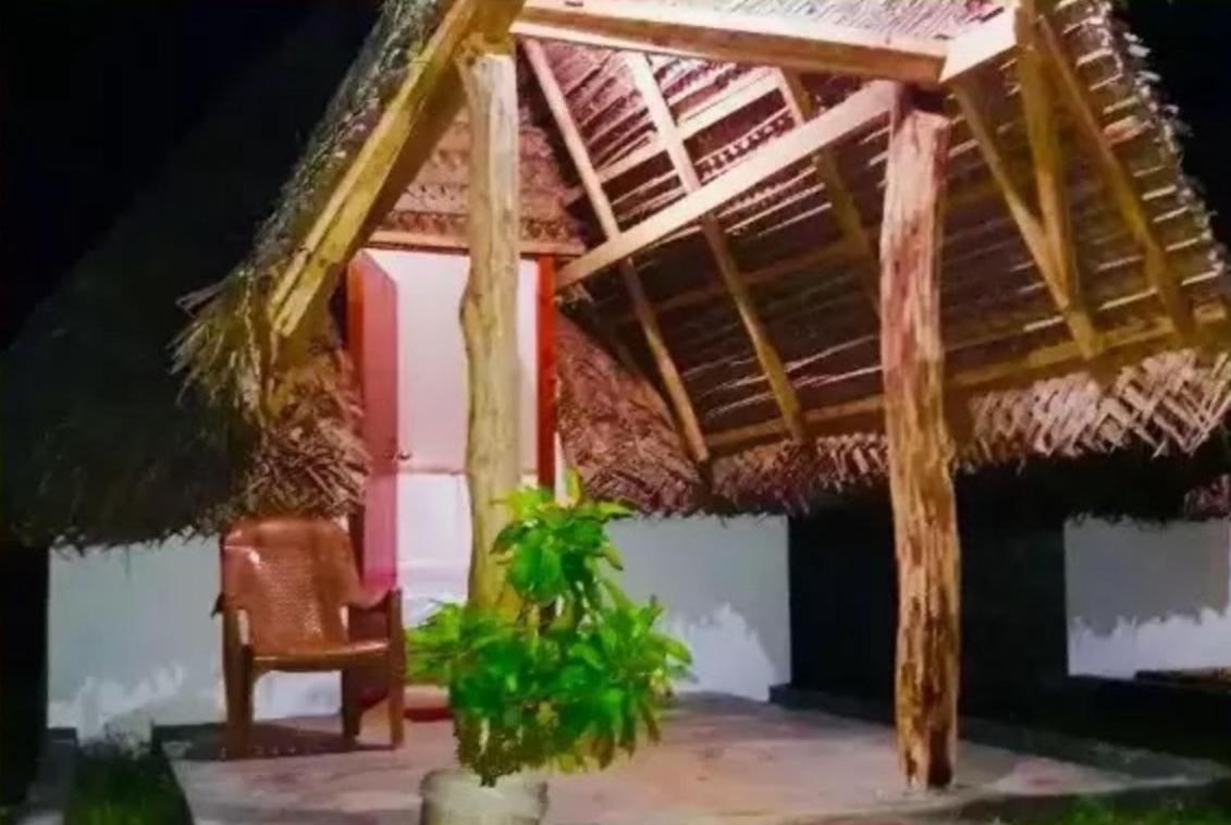 Amigos Inn
