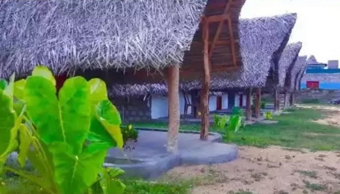 Amigos Inn