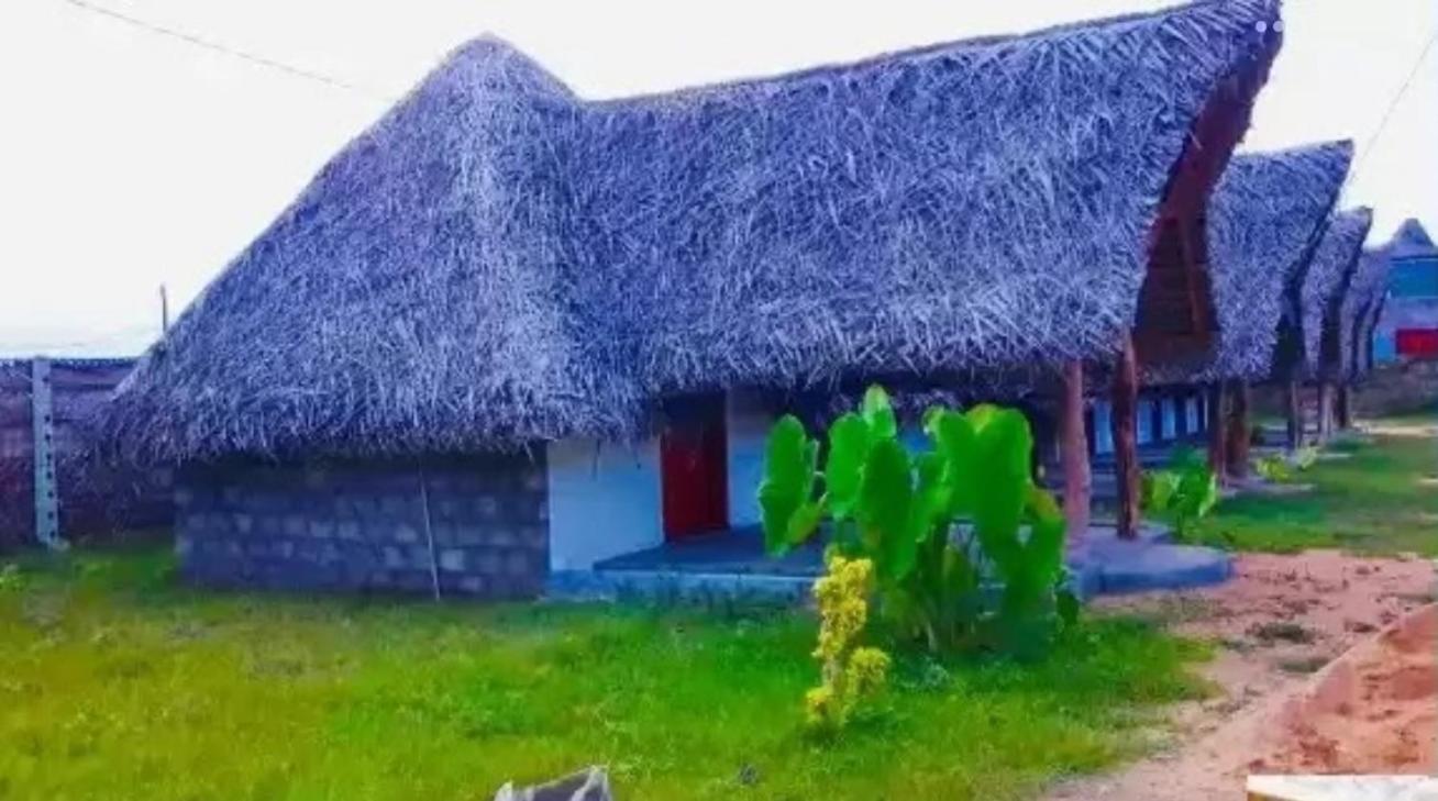 Amigos Inn