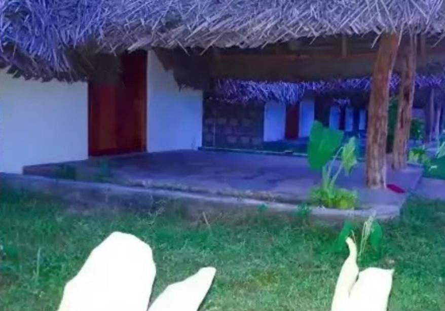 Amigos Inn