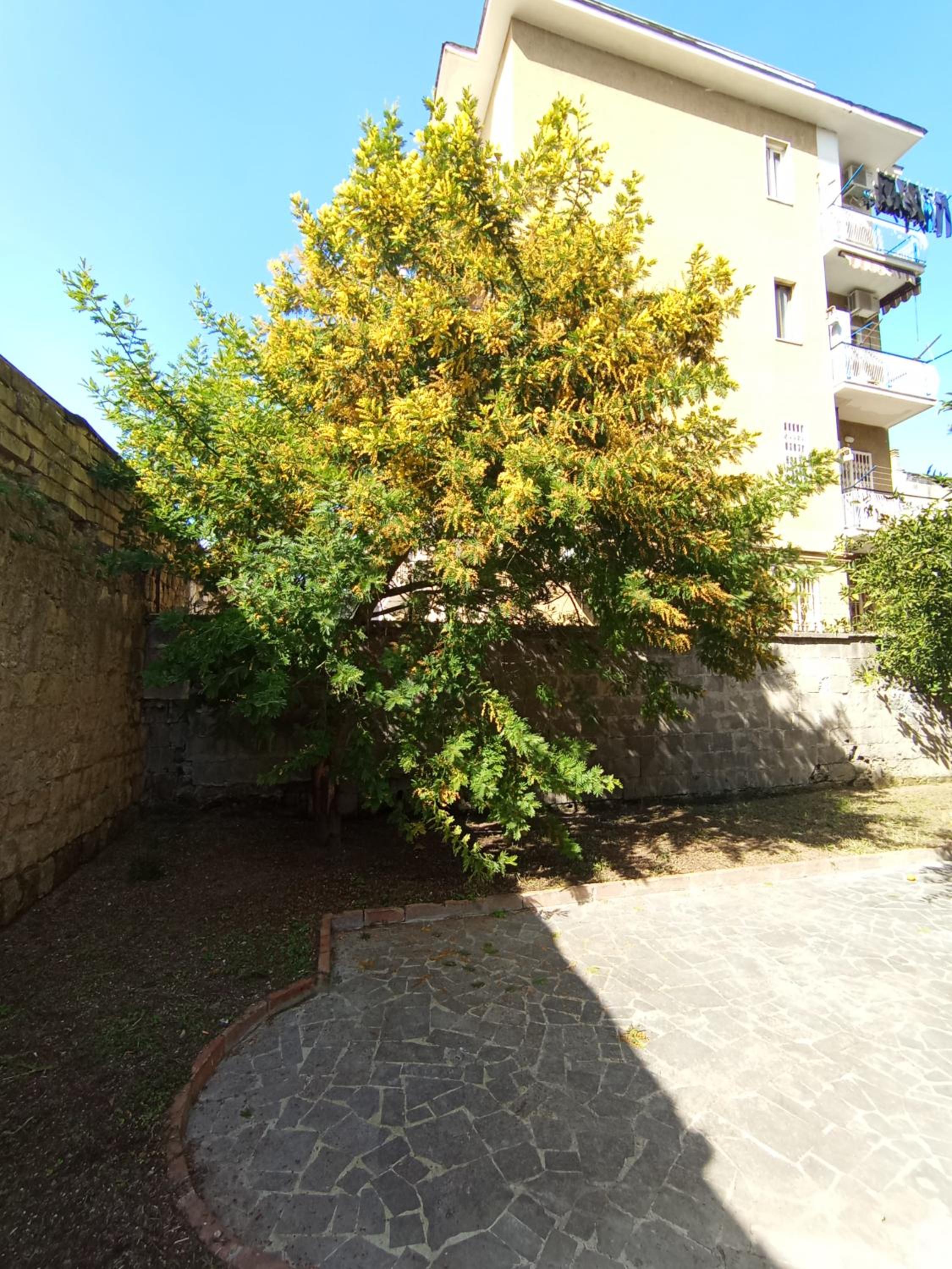 Casa di Mirko