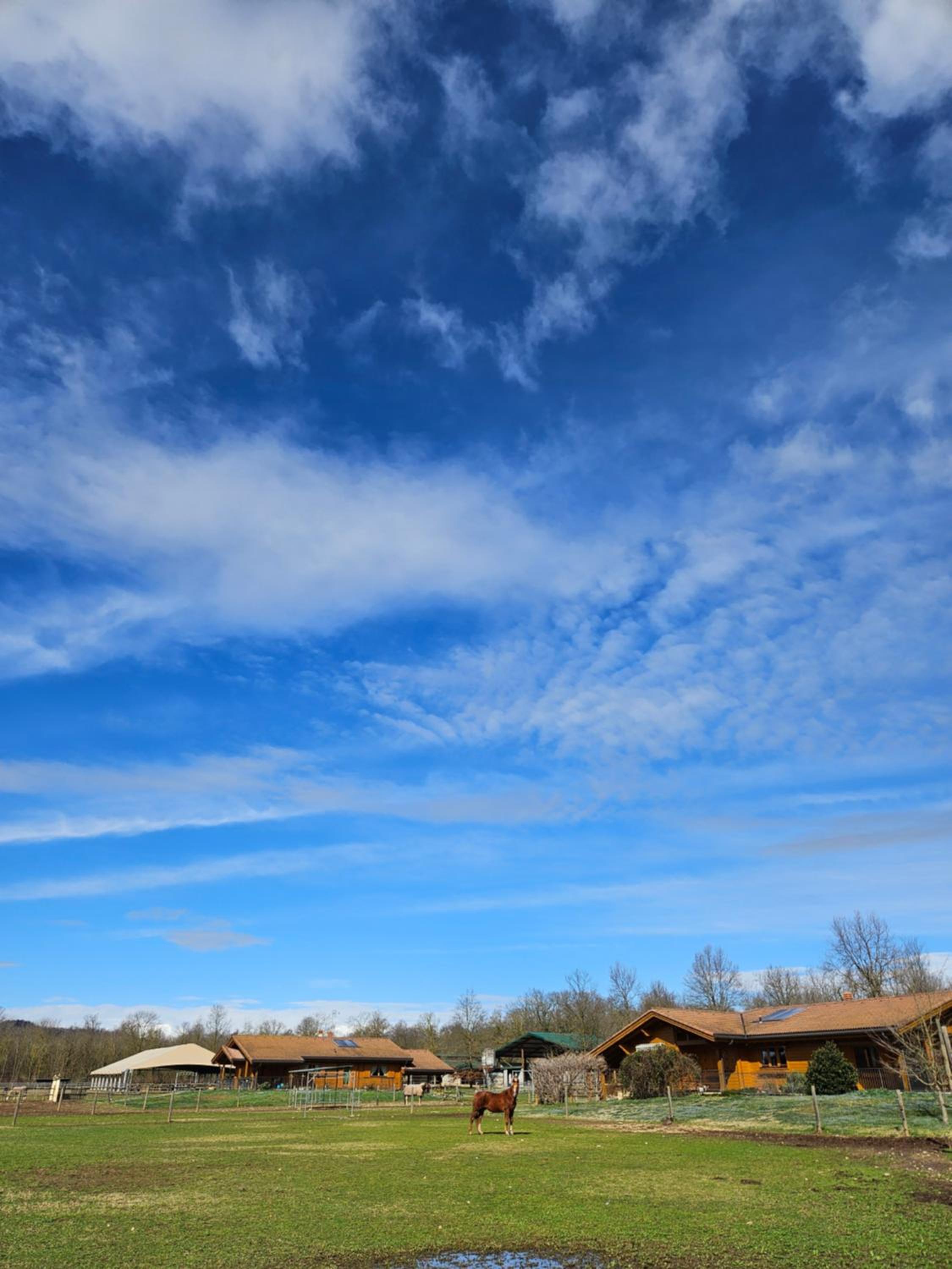 Bosquey Ranch B&B