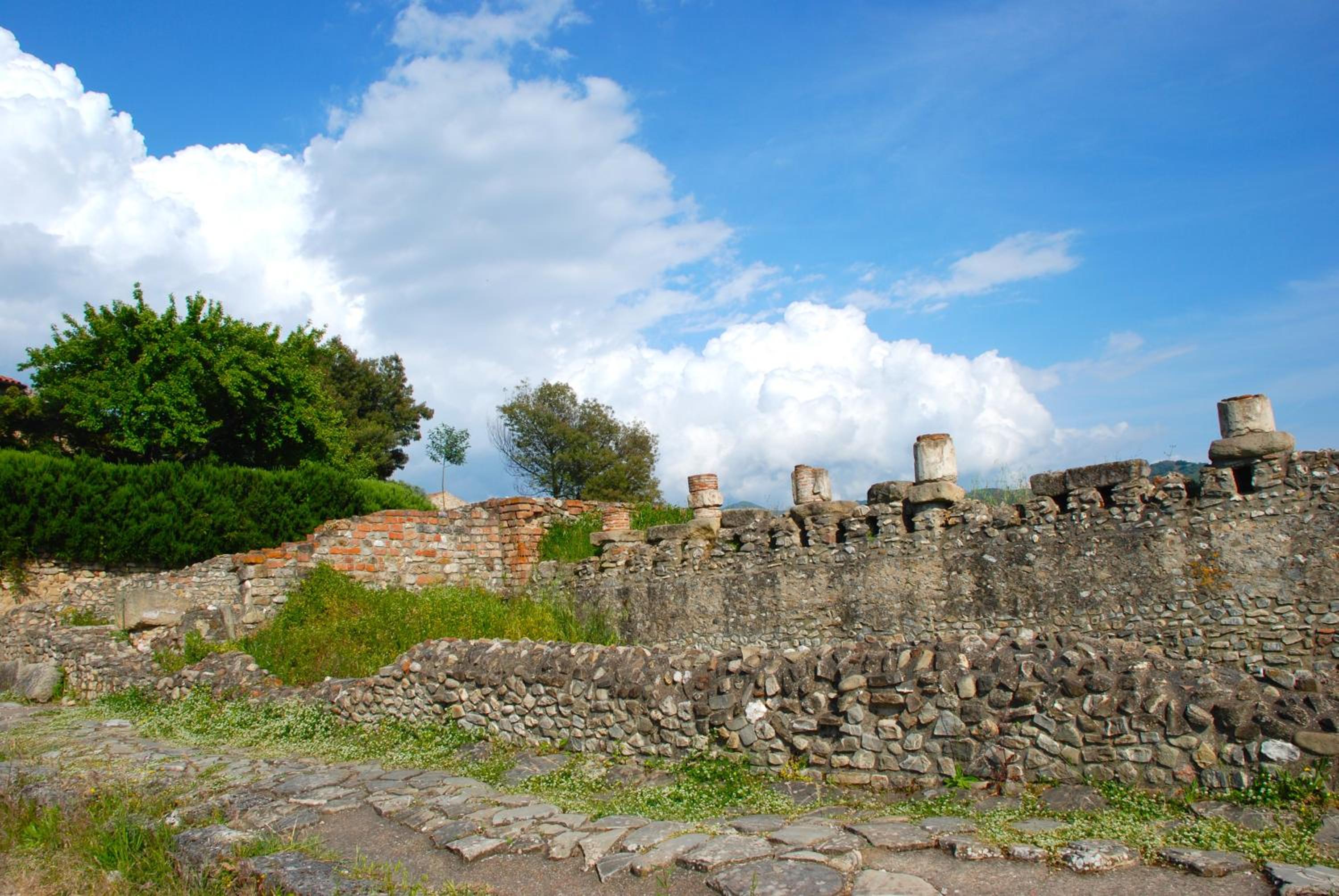Photo 40