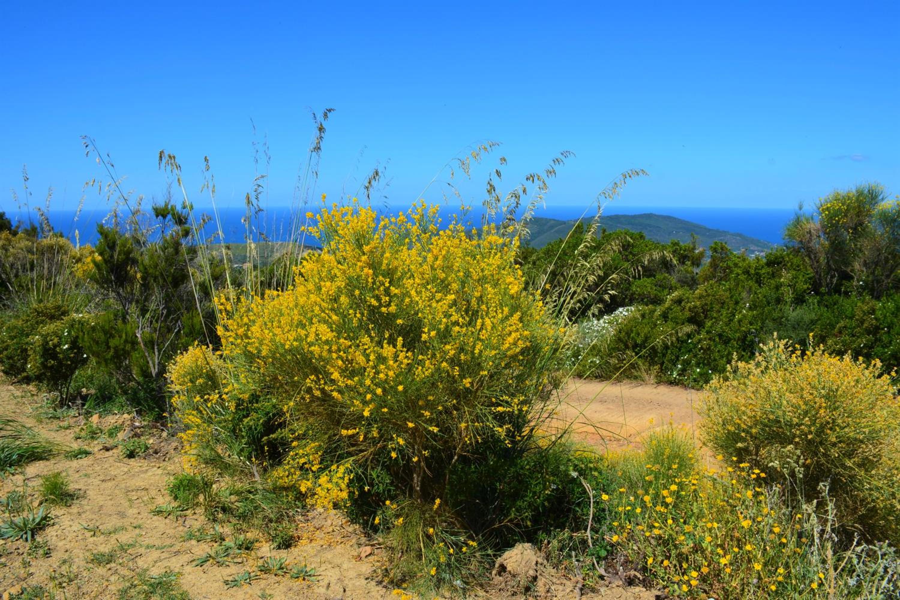 Photo 45
