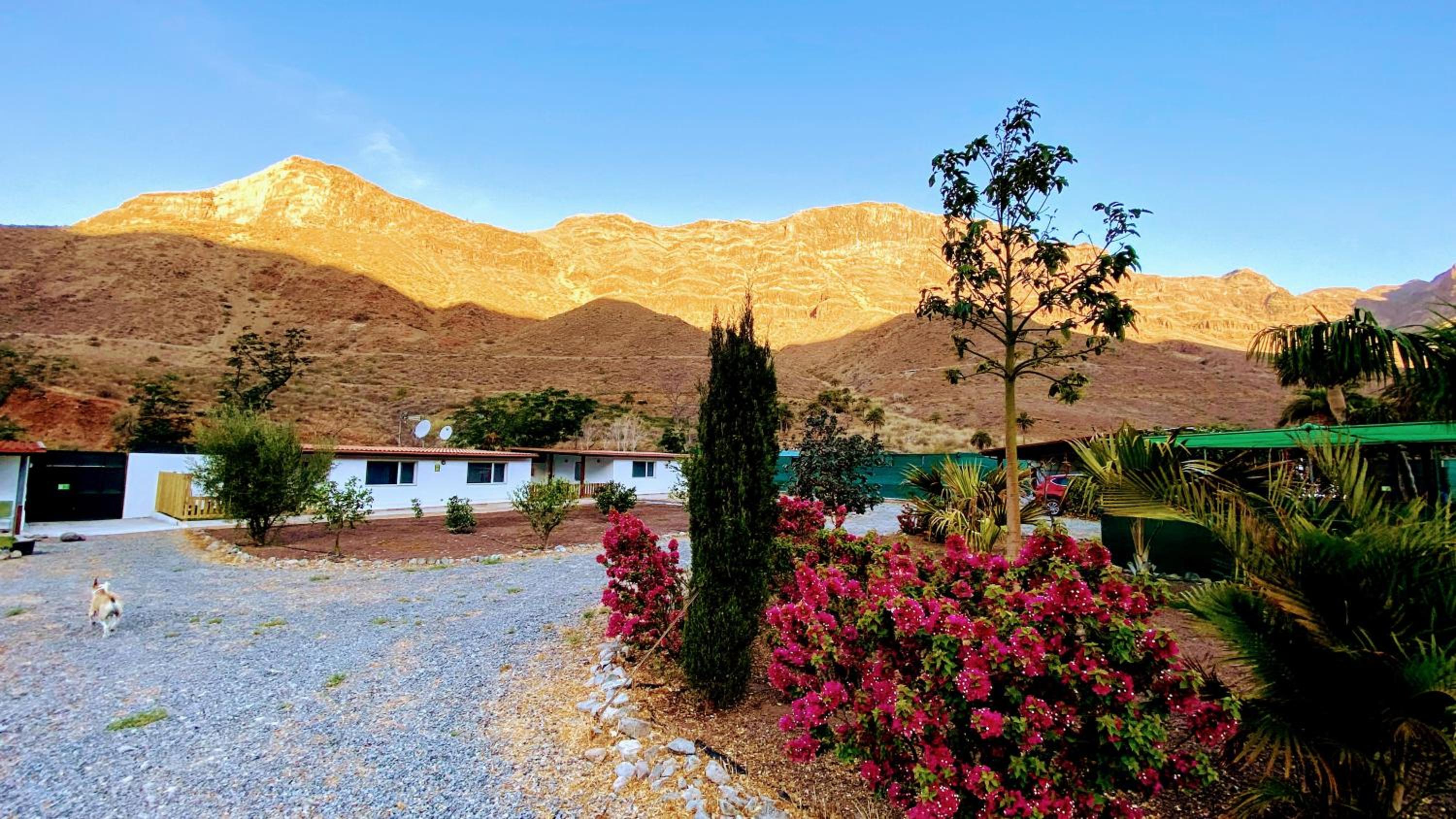 Spacious Country House in Arteara near Maspalomas