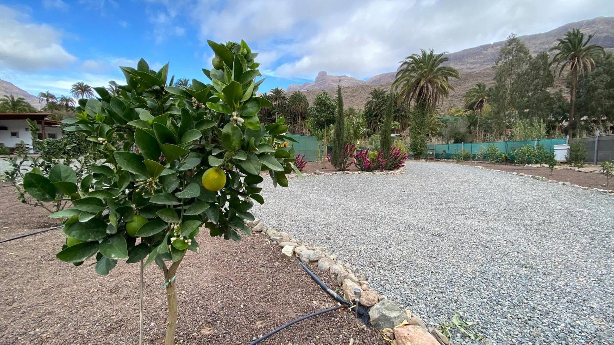 Spacious Country House in Arteara near Maspalomas