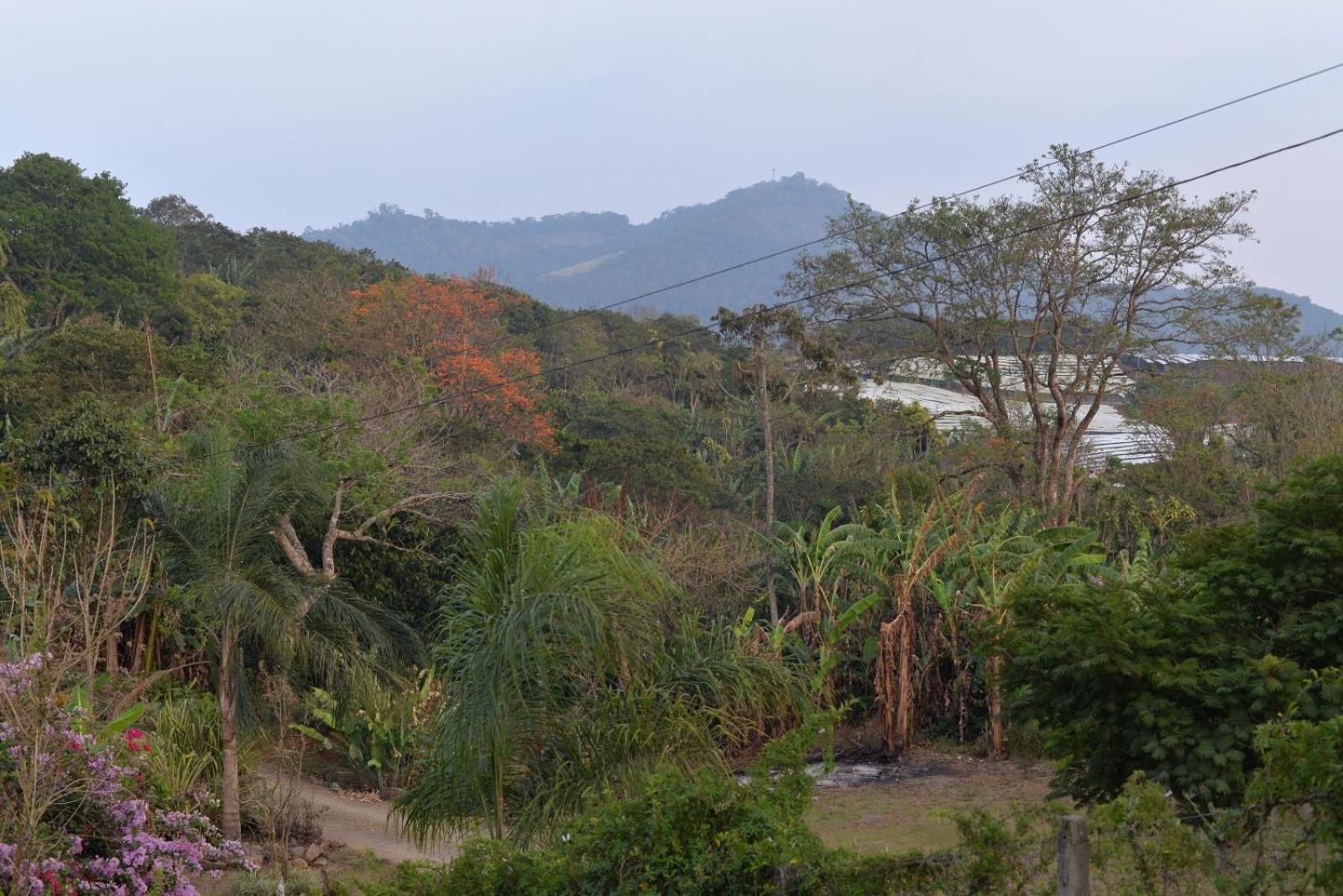 Casa Bohemia, un lugar de relajación rodeada de naturaleza