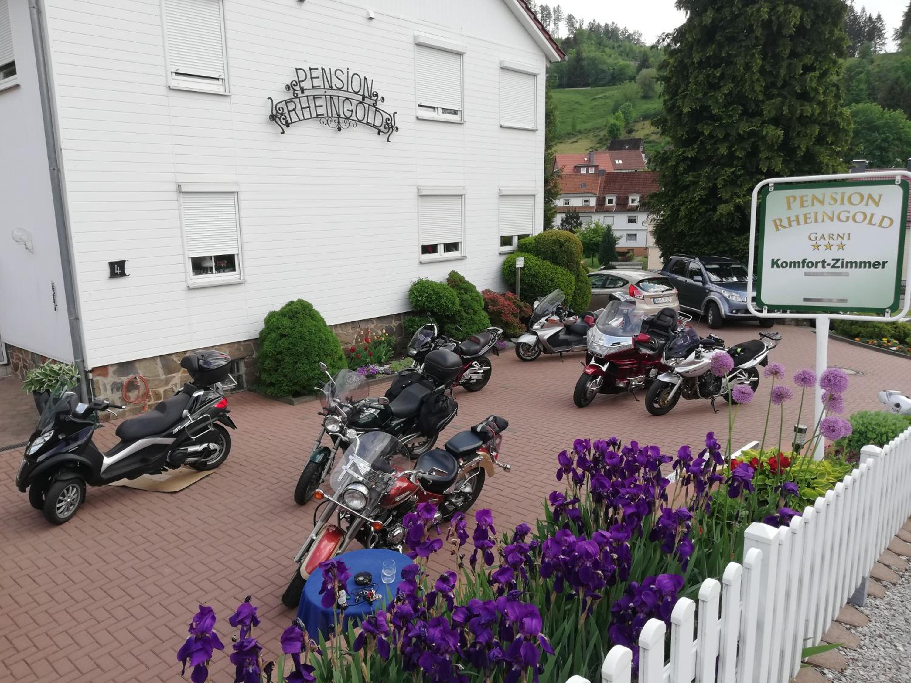 Pension Rheingold Garni
