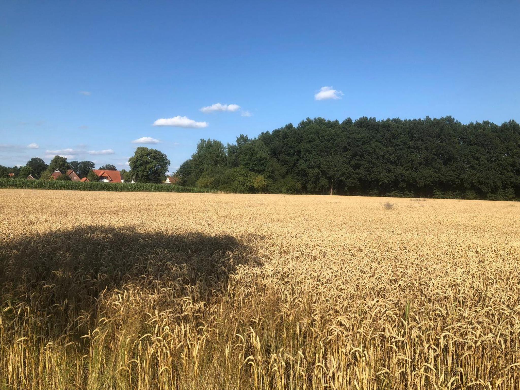 Ferienwohnung Zum Aatal