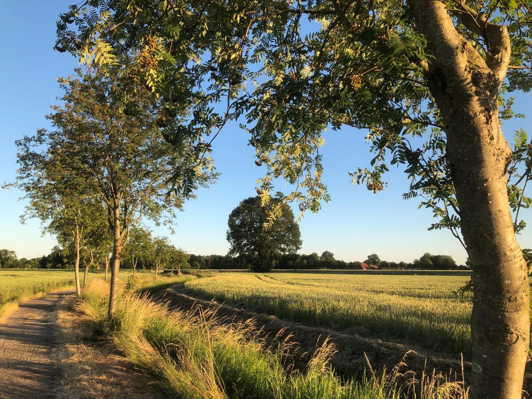 Ferienwohnung Zum Aatal