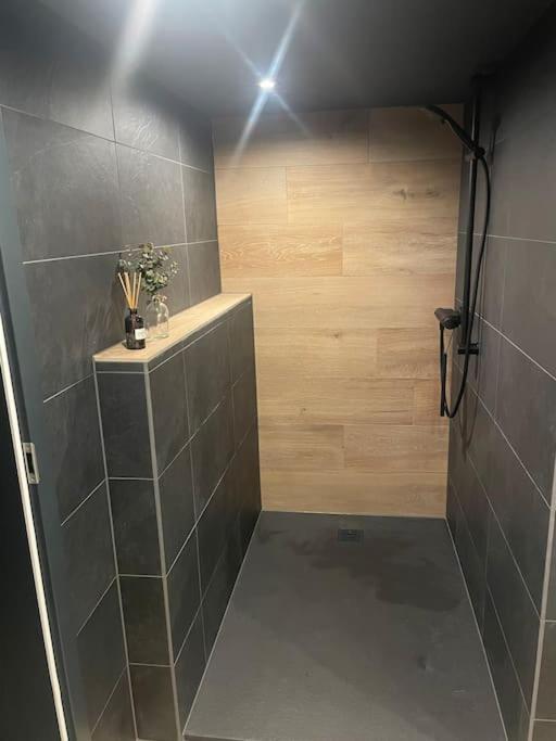 Ferienwohnung Loft Schwielowsee mit Sauna