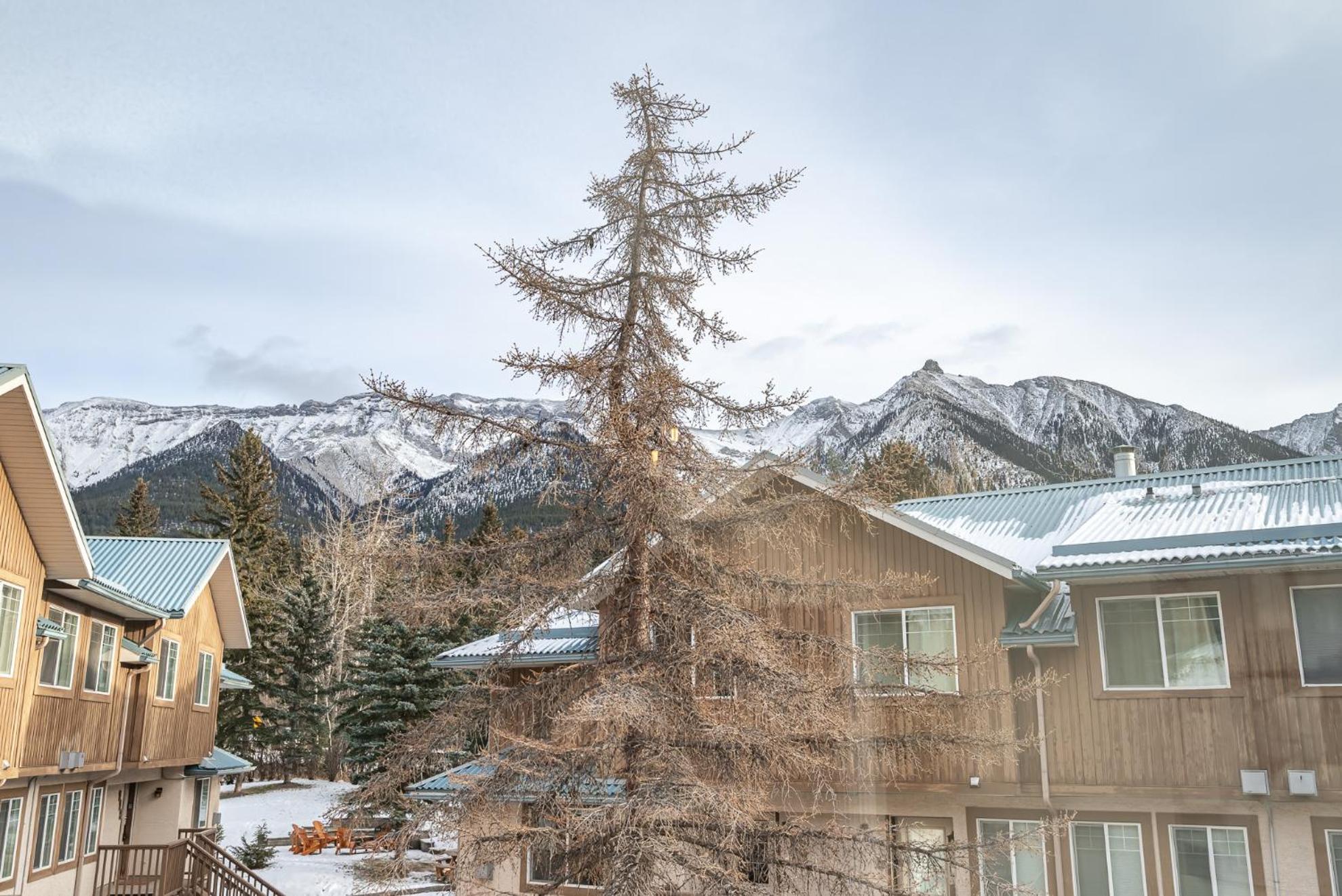 Luxurious Retreat/Hot Tub/Mountain View/4 Beds