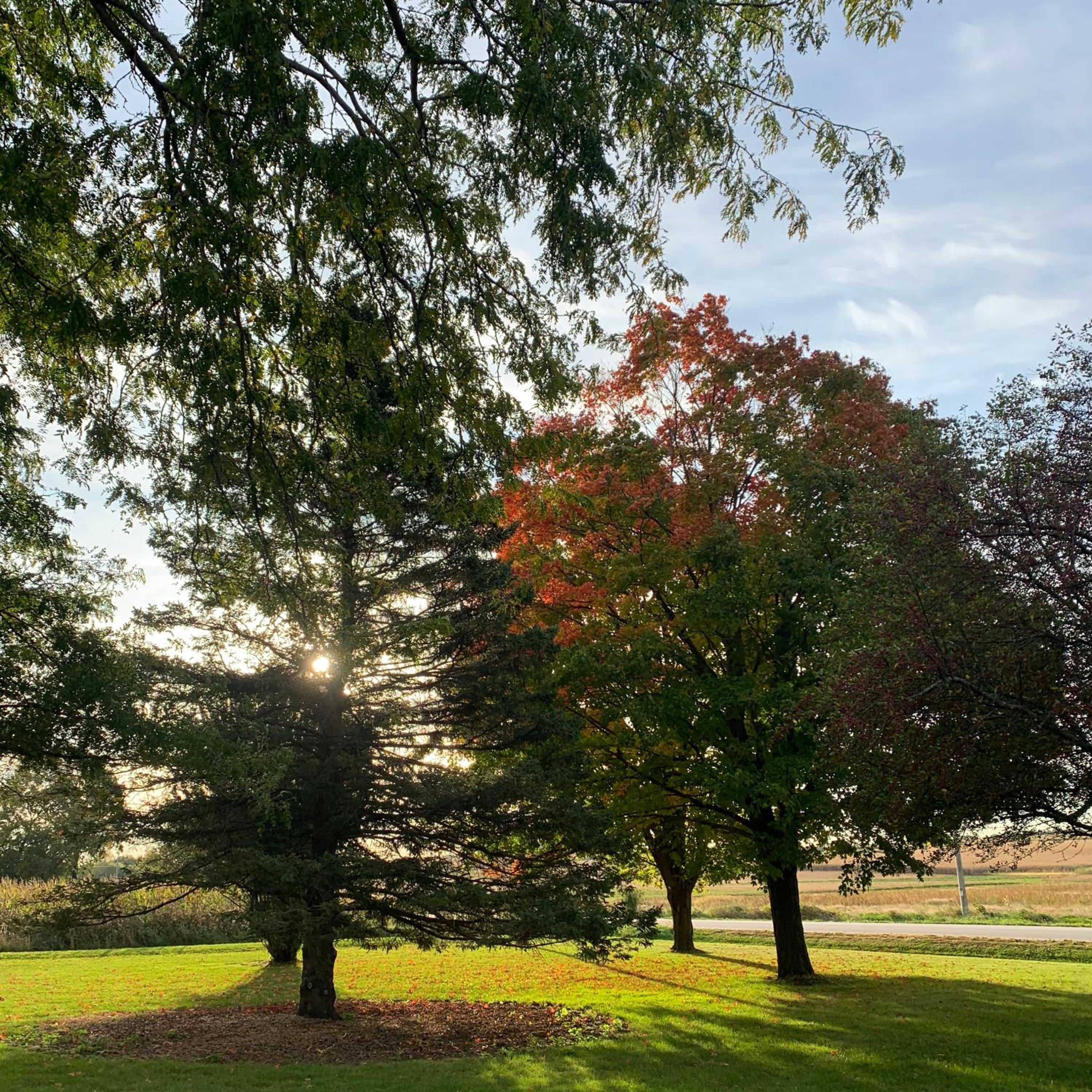 Large Farmhouse near RA, Kohler and Golf. Exclusive amenities and room for all! view 2