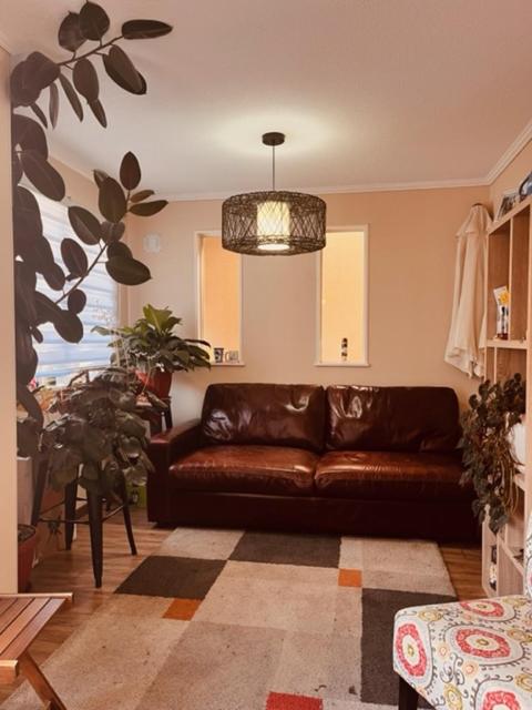Hostal Damatierra Guesthouse