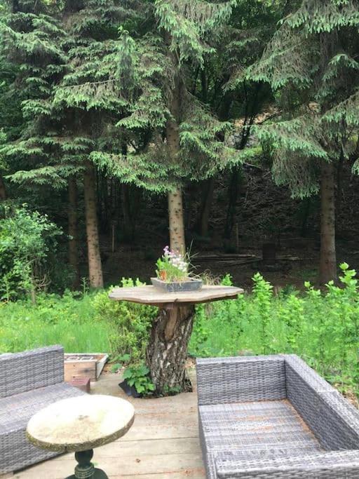 vakantiewoning Clair de lune minimum 2 nachten